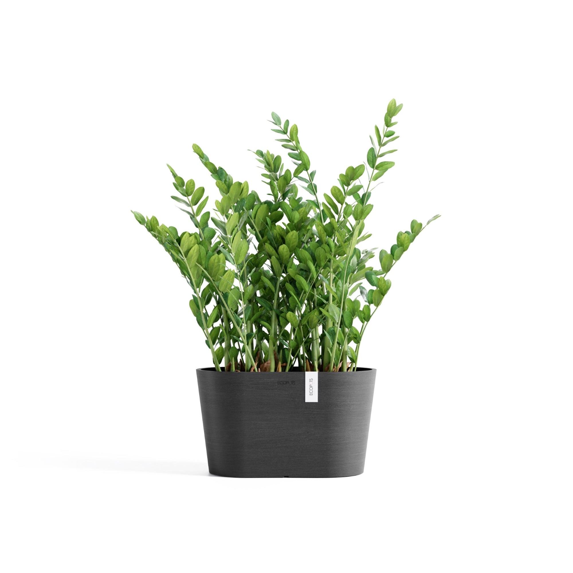 Ecopots Tokyo Durable Modern Oval Indoor/Outdoor Recycled-Based Composite Flower Pot Planter w/ Water Reservoir