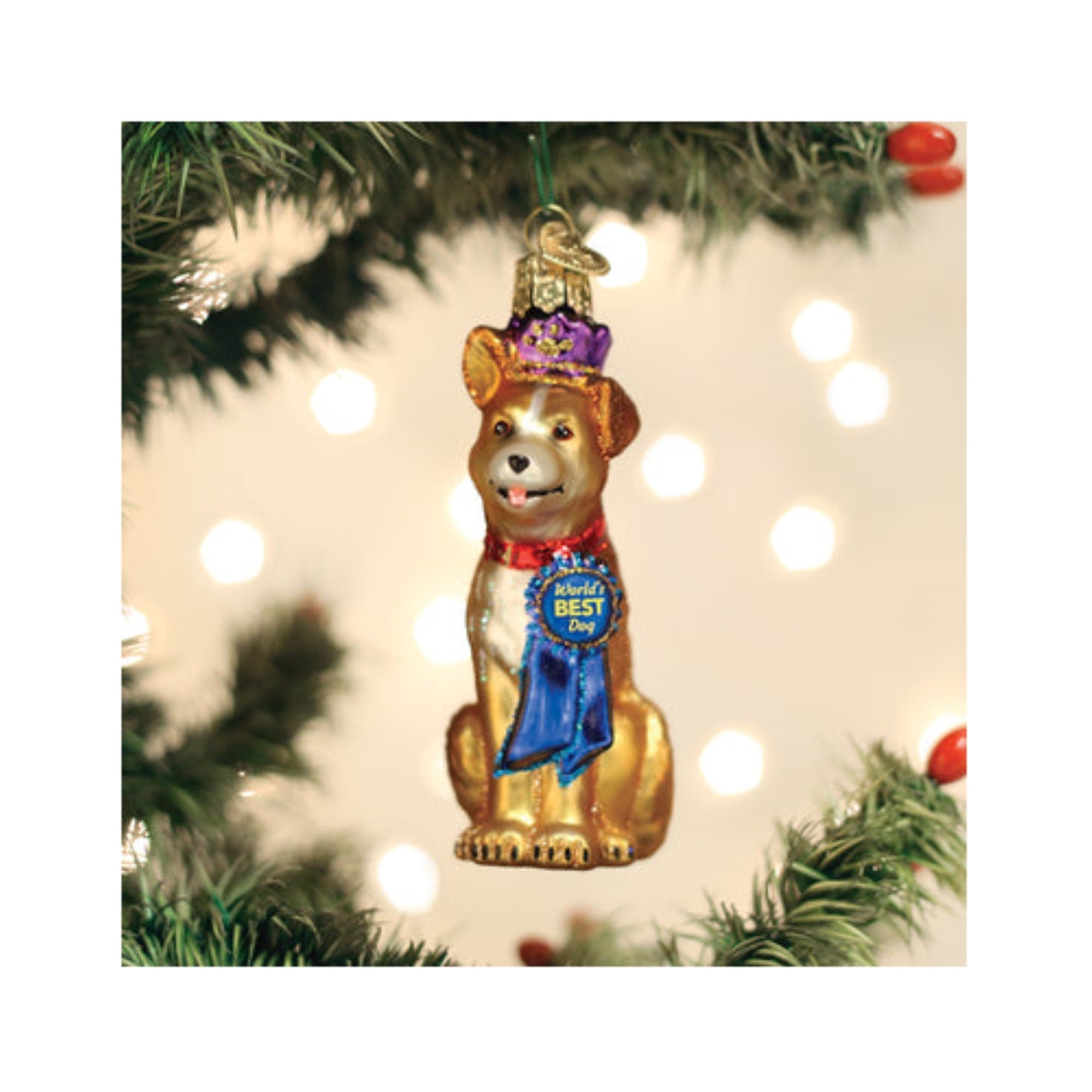 Old World Christmas Blown Glass Ornament for Christmas Tree, World's Best Dog