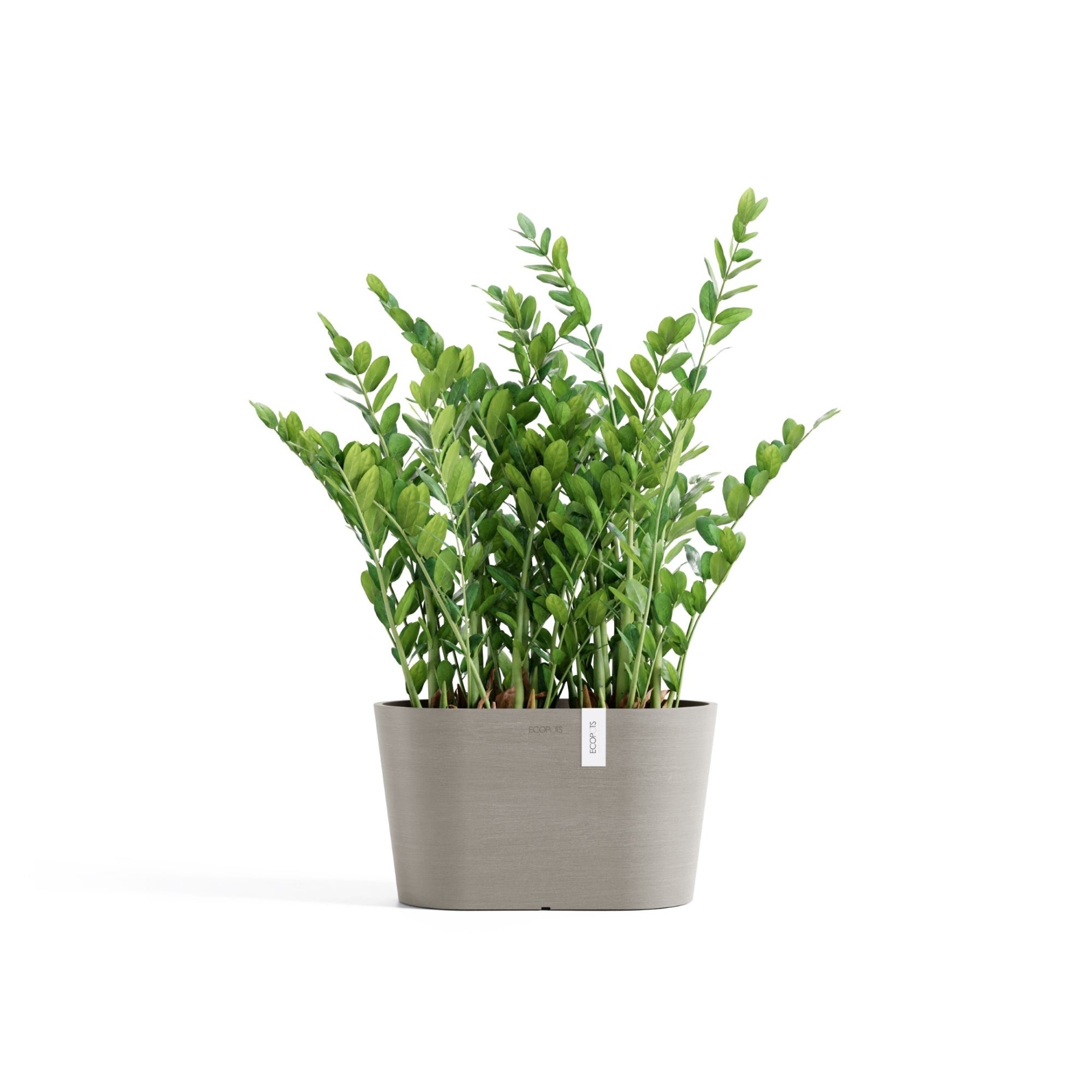 Ecopots Tokyo Durable Modern Oval Indoor/Outdoor Recycled-Based Composite Flower Pot Planter w/ Water Reservoir