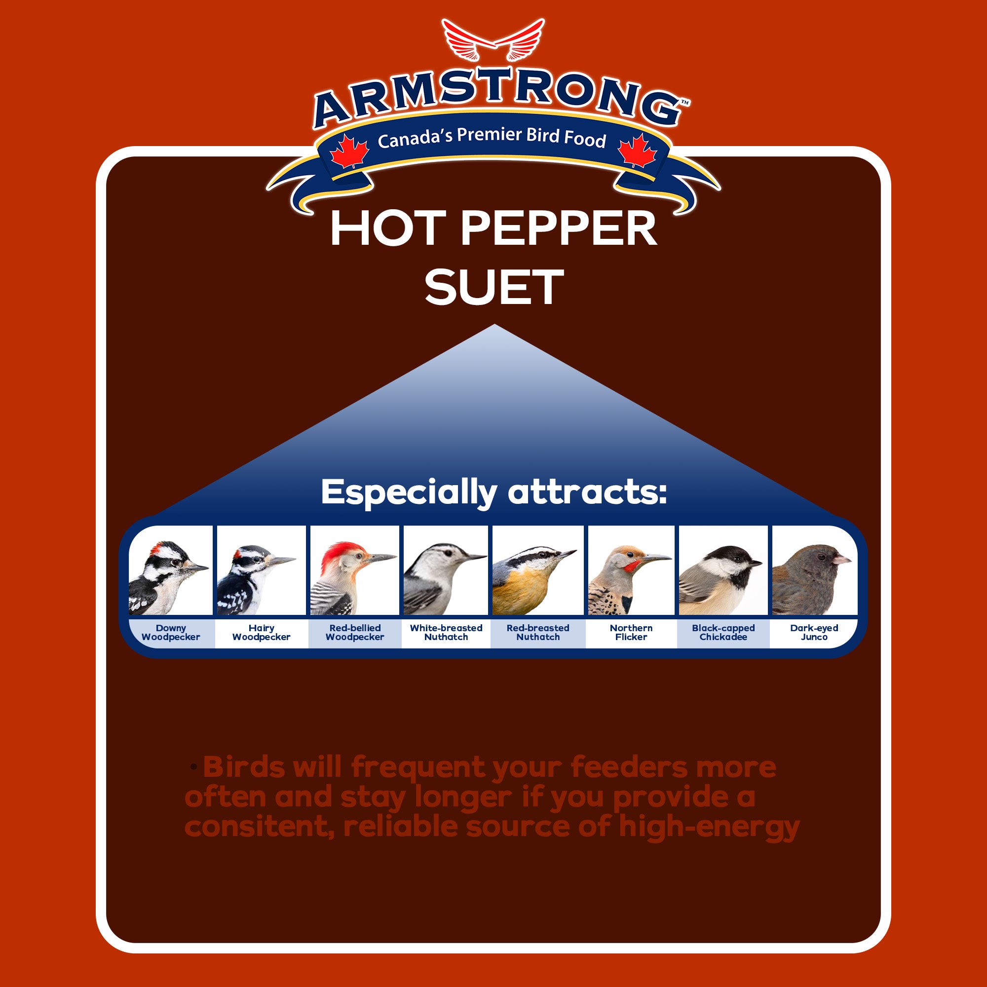 Armstrong Wild Bird Food Hot Pepper Suet Blend, 10.6oz (Pack of 12)