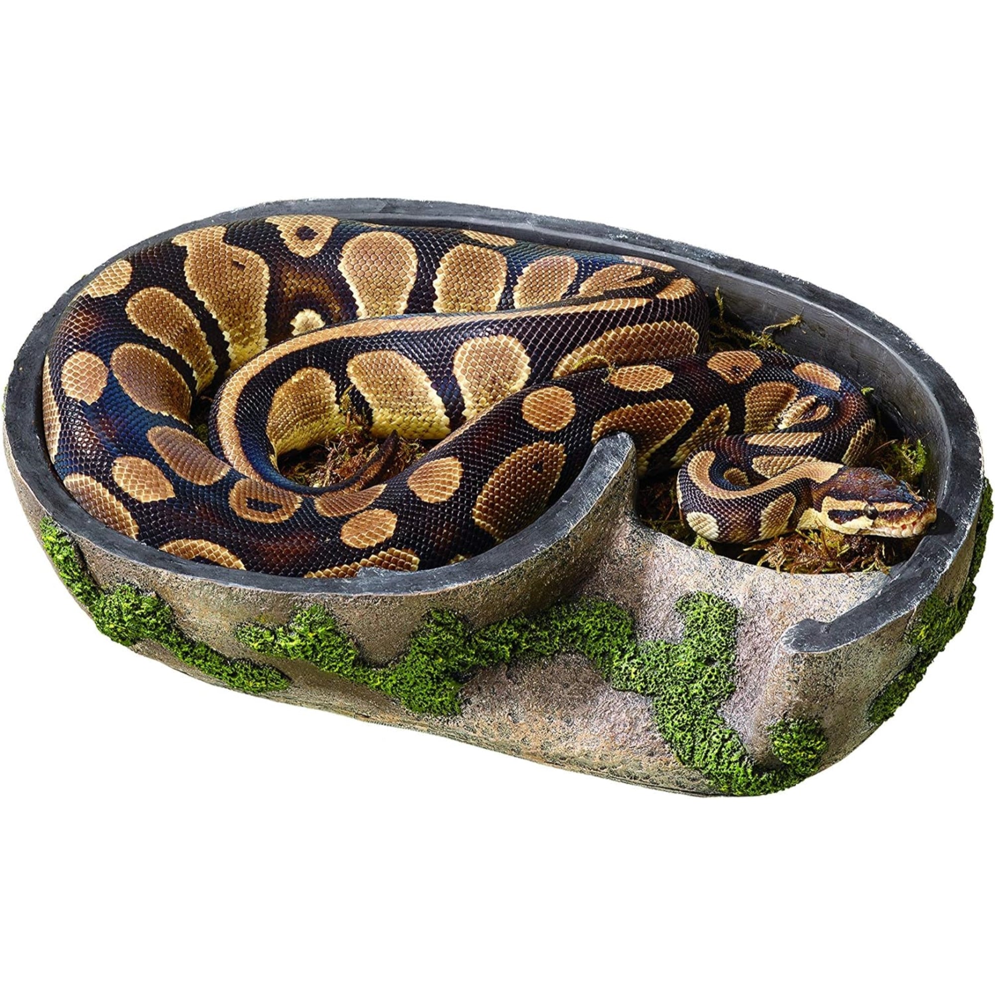 Zilla Rock Lair Terrarium Hideout for Snakes with Removable Top, Extra Large