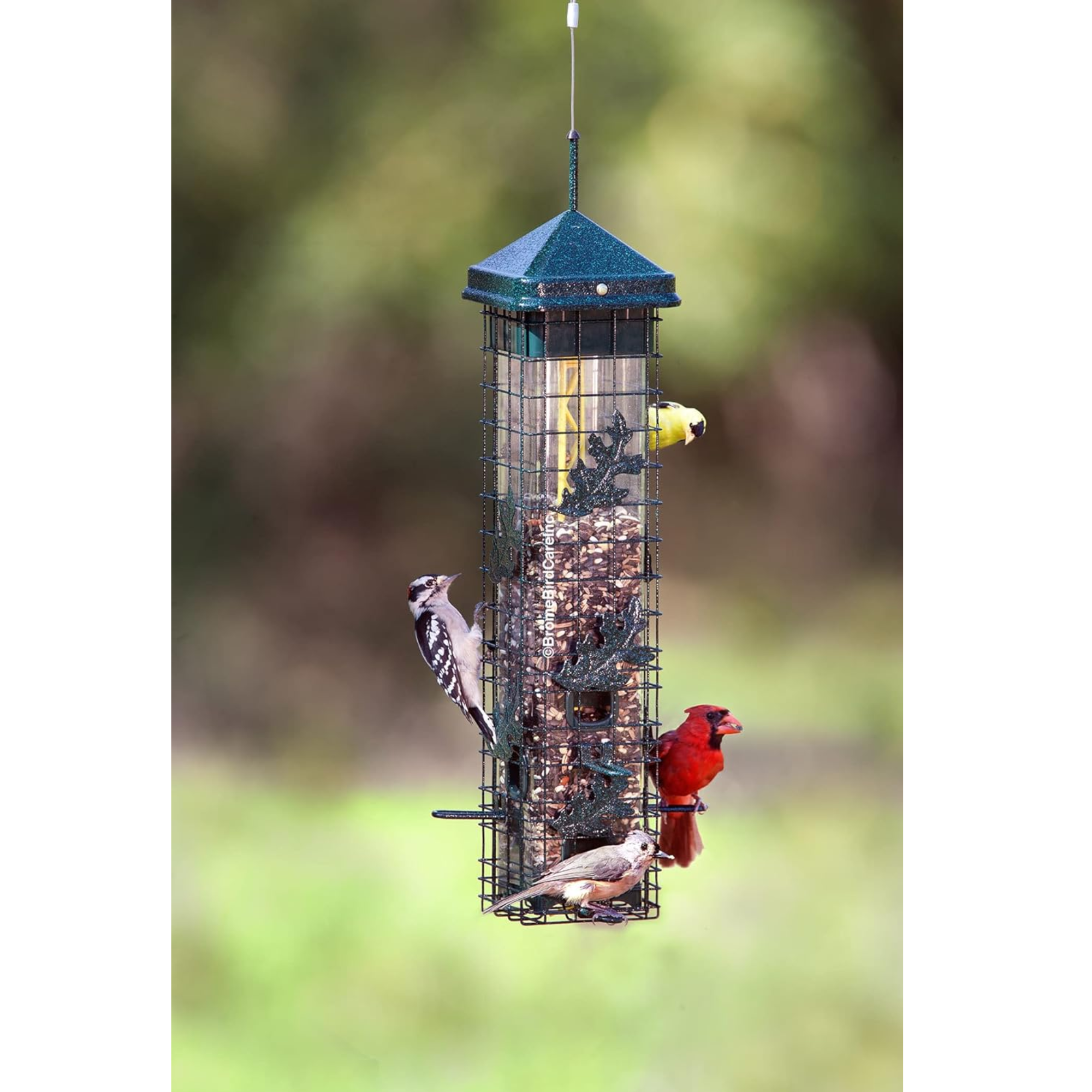 Brome Squirrel Solution 200 Squirrel Proof Bird Feeder