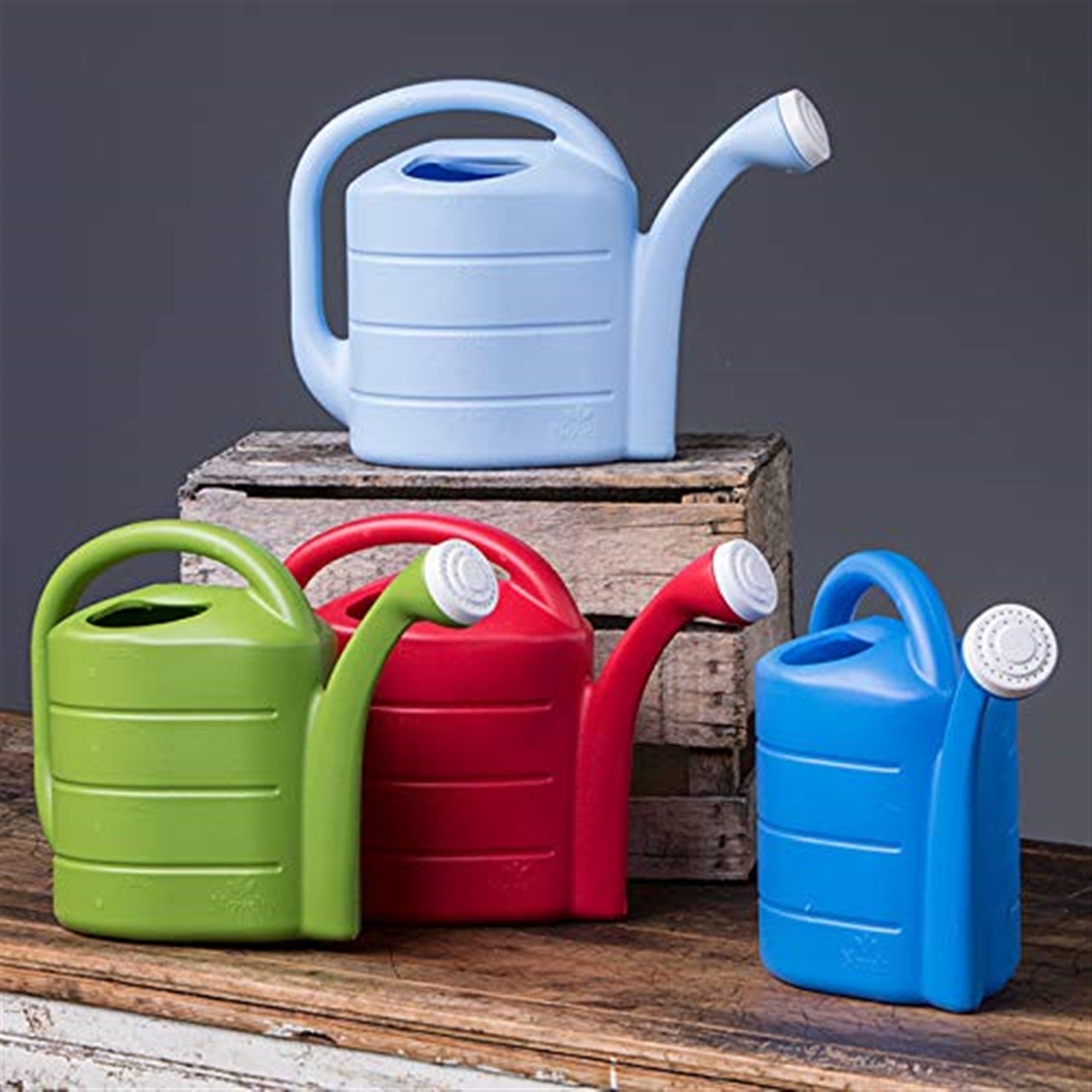 Novelty Deluxe Plastic Watering Can, Bright Blue, 2 Gallons