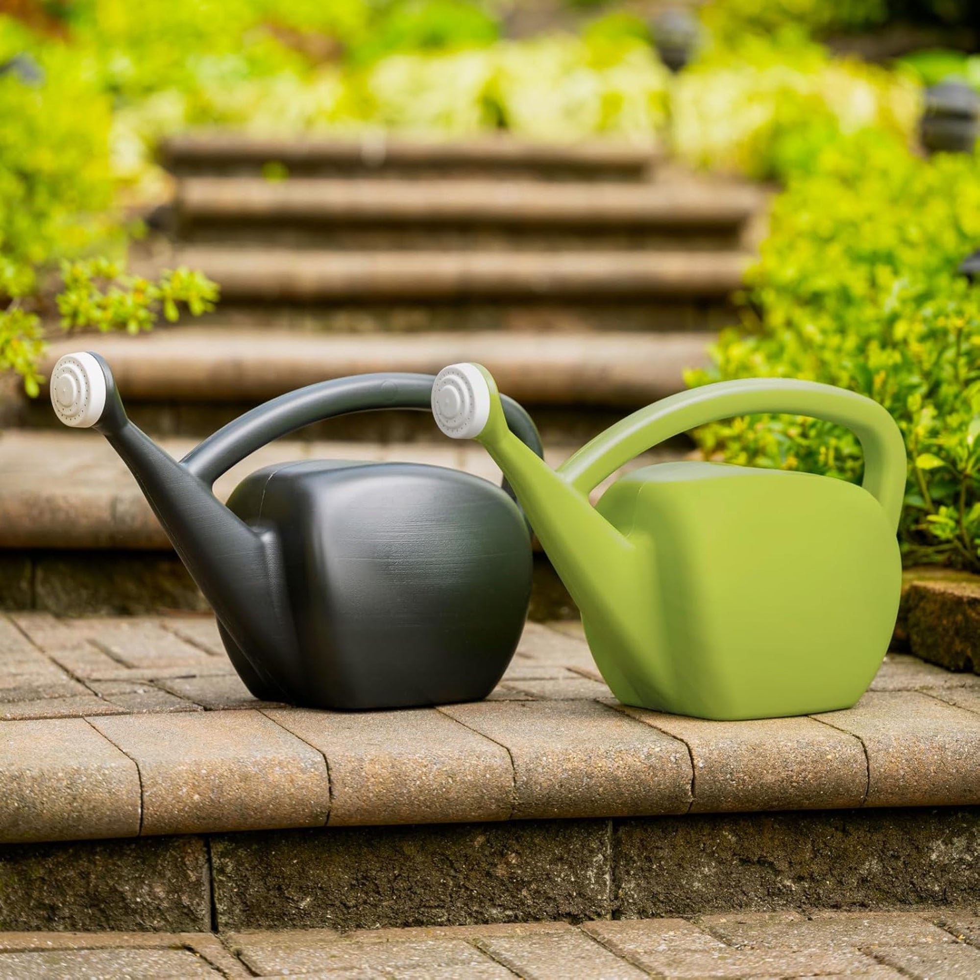 Root & Vessel Mid Century Modern Plastic Watering Can, Black, 2 Gallon