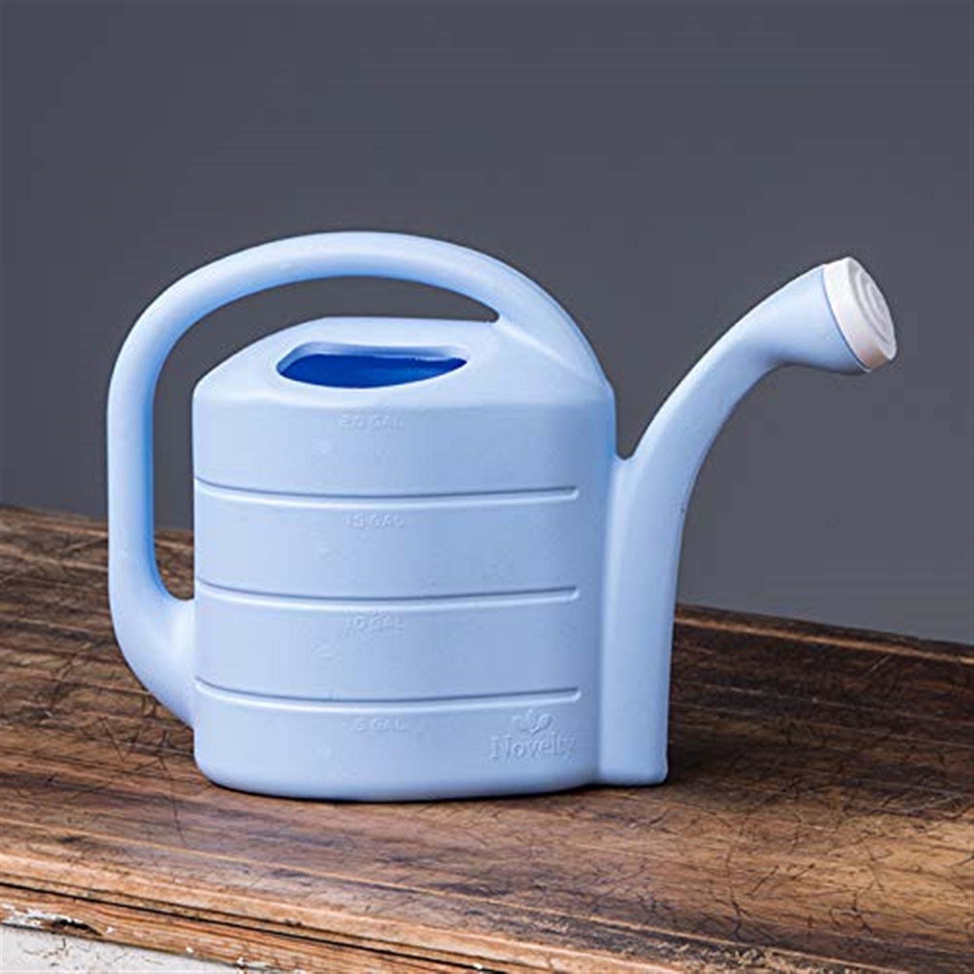 Novelty Deluxe Plastic Watering Can, Sky Blue, 2 Gallons