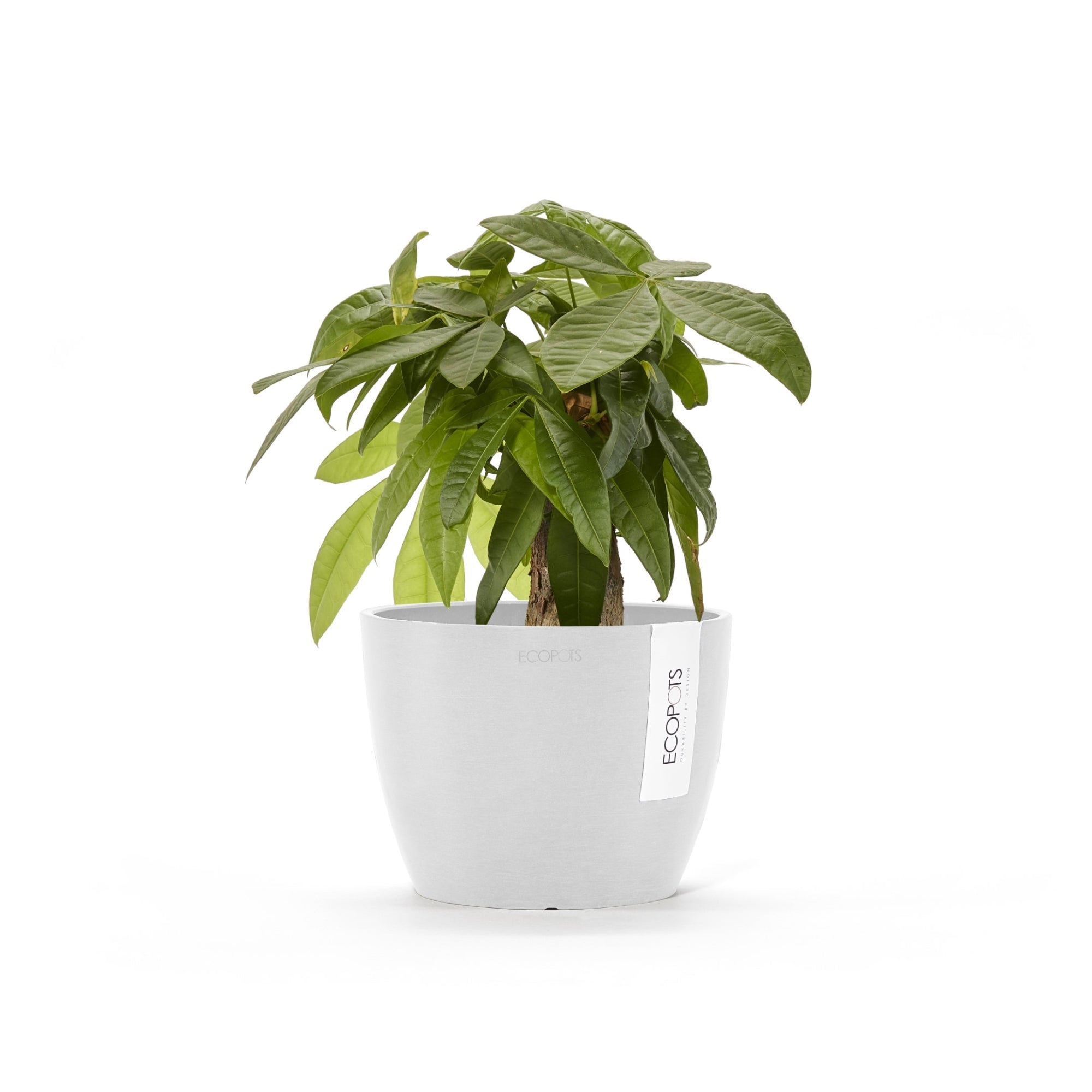 Ecopots Stockholm Mini Durable Modern Round Indoor/Outdoor Recycled-Based Composite Flower Pot Planter, 6"