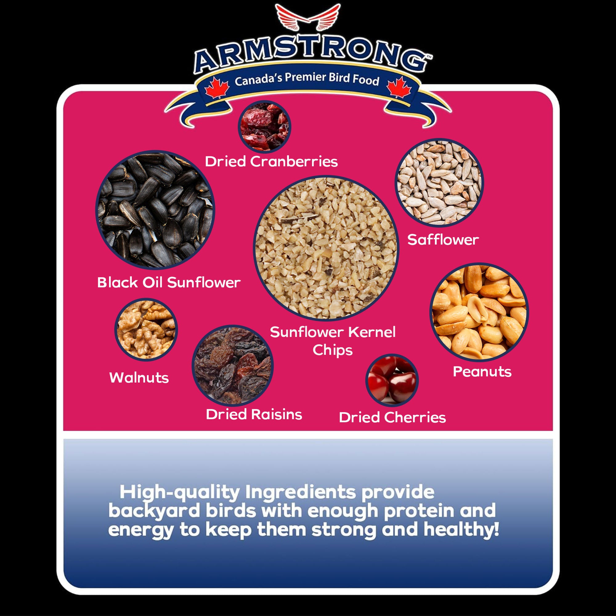 Armstrong Wild Bird Food Royal Jubilee Persistence Bird Seed Blend for Woodpeckers