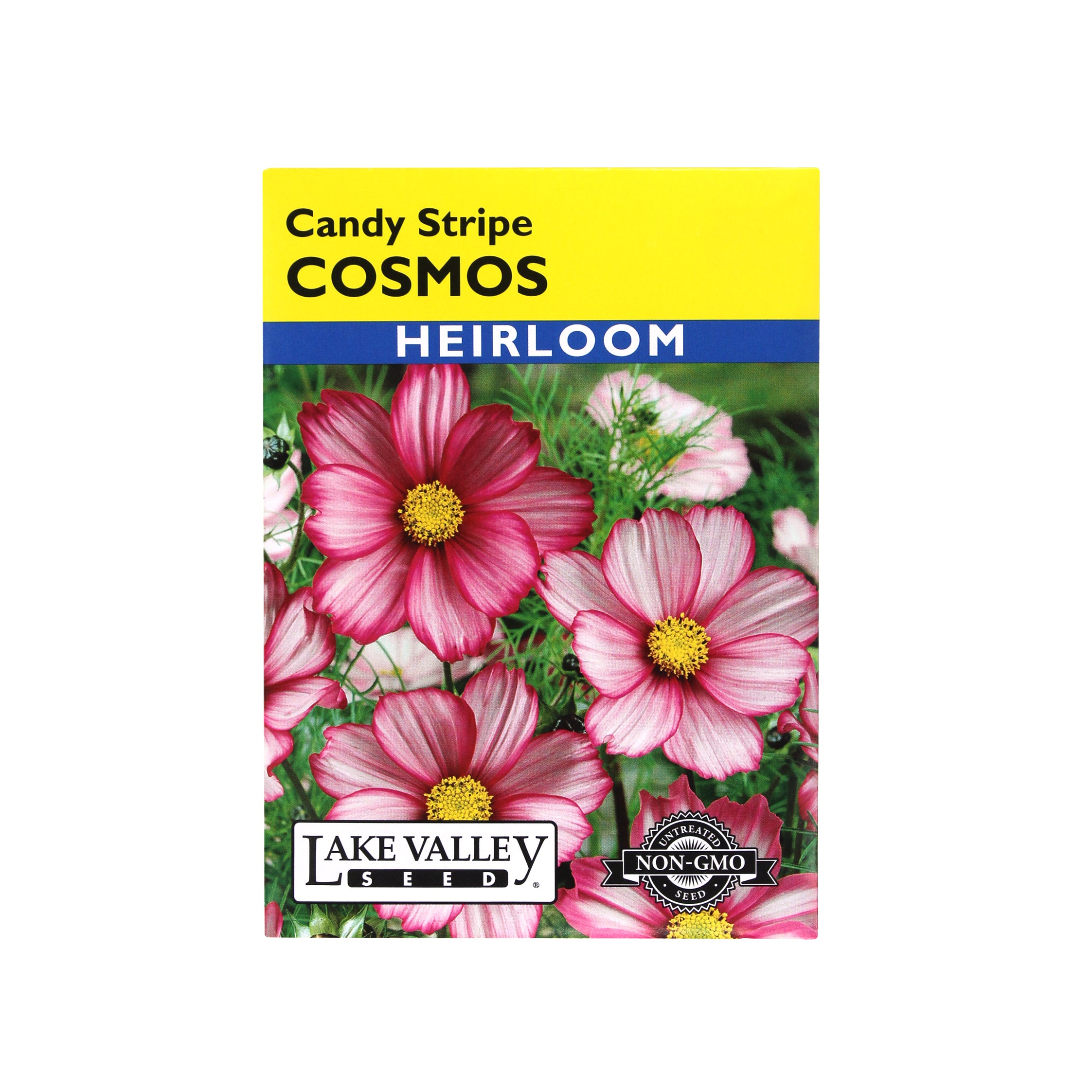 Lake Valley Seed Cosmos Candy Stripe, 0.50g