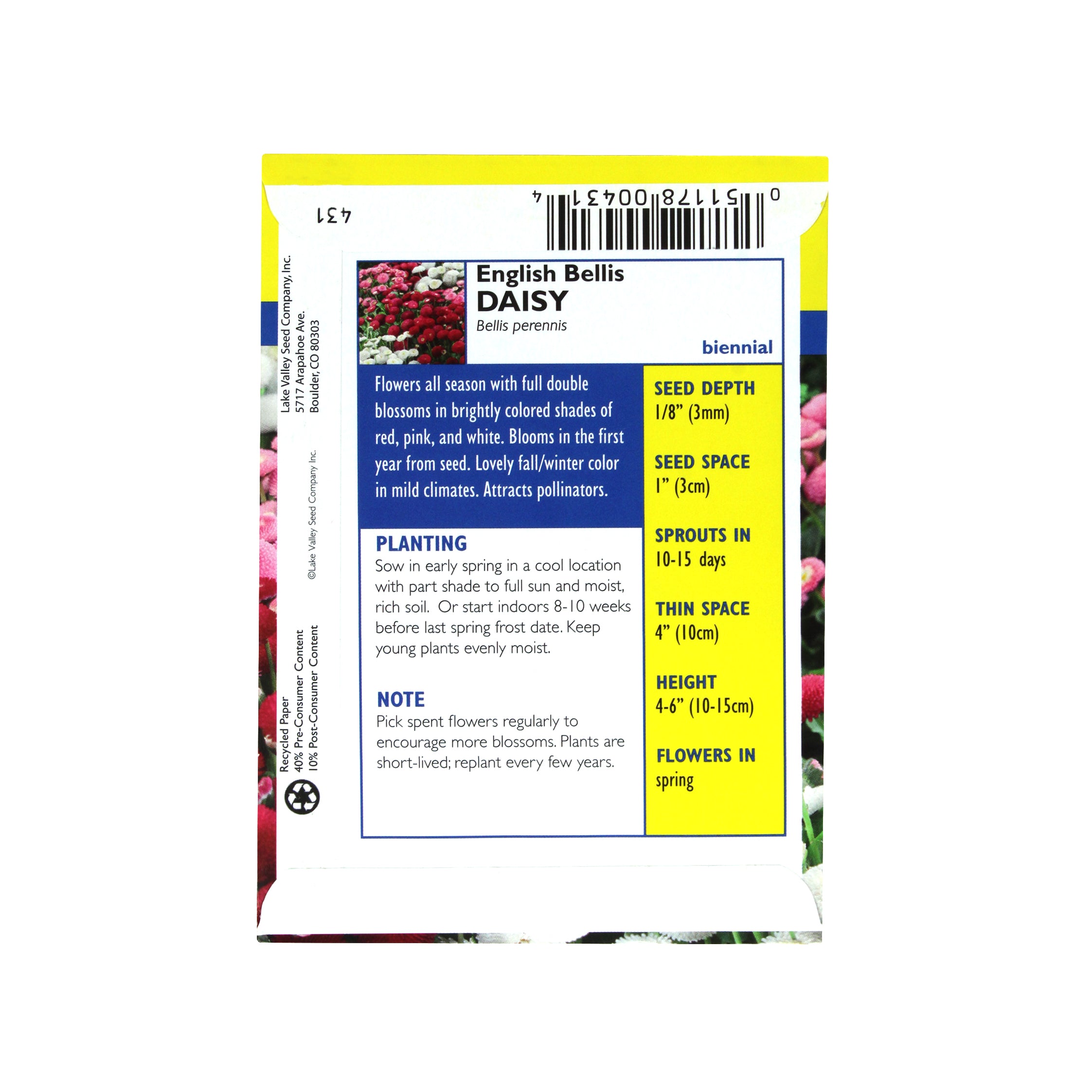 Lake Valley Seeds Daisy, English Bellis Mixed Colors Heirloom, 0.15g