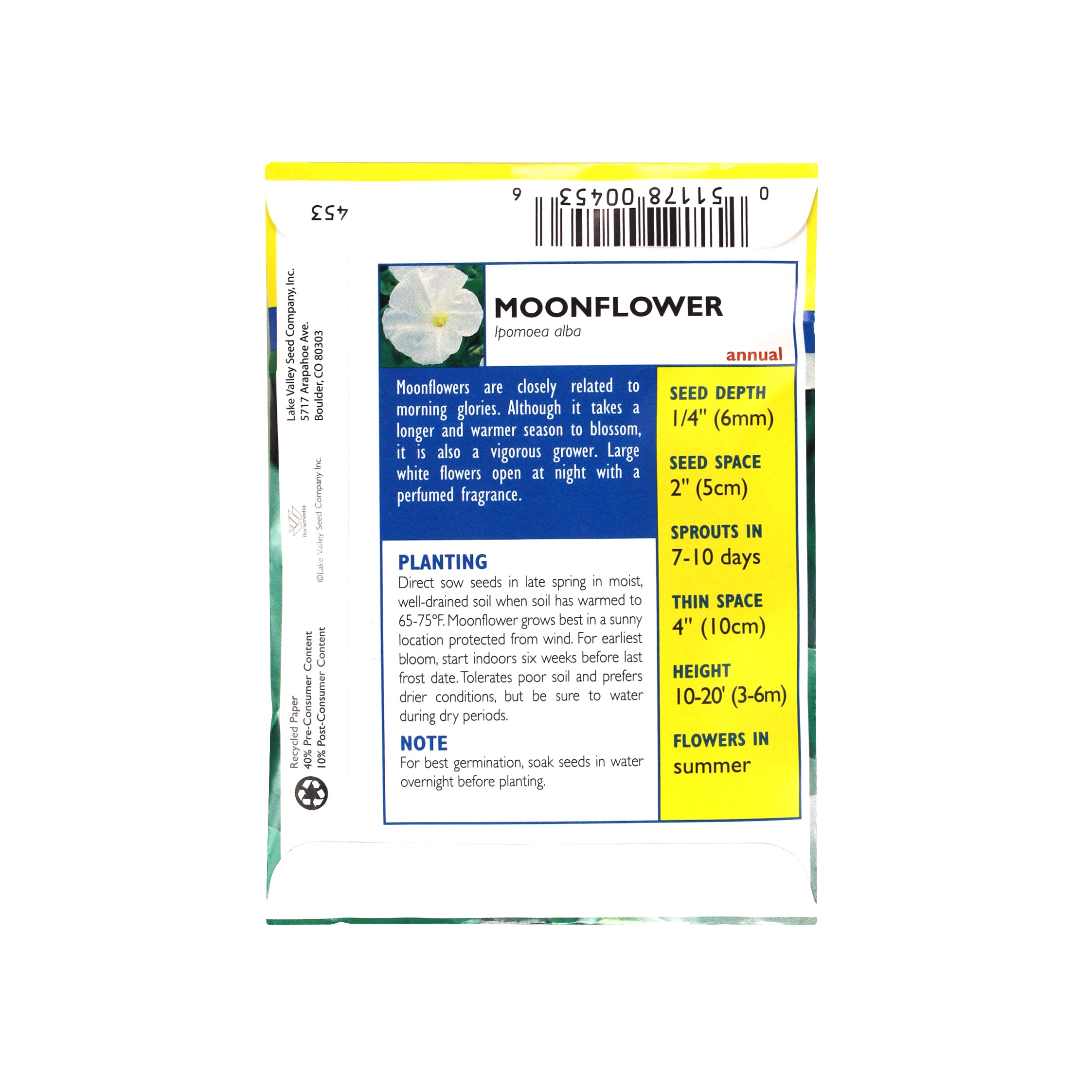 Lake Valley Seed Moonflower, Heirloom Flower, 3g