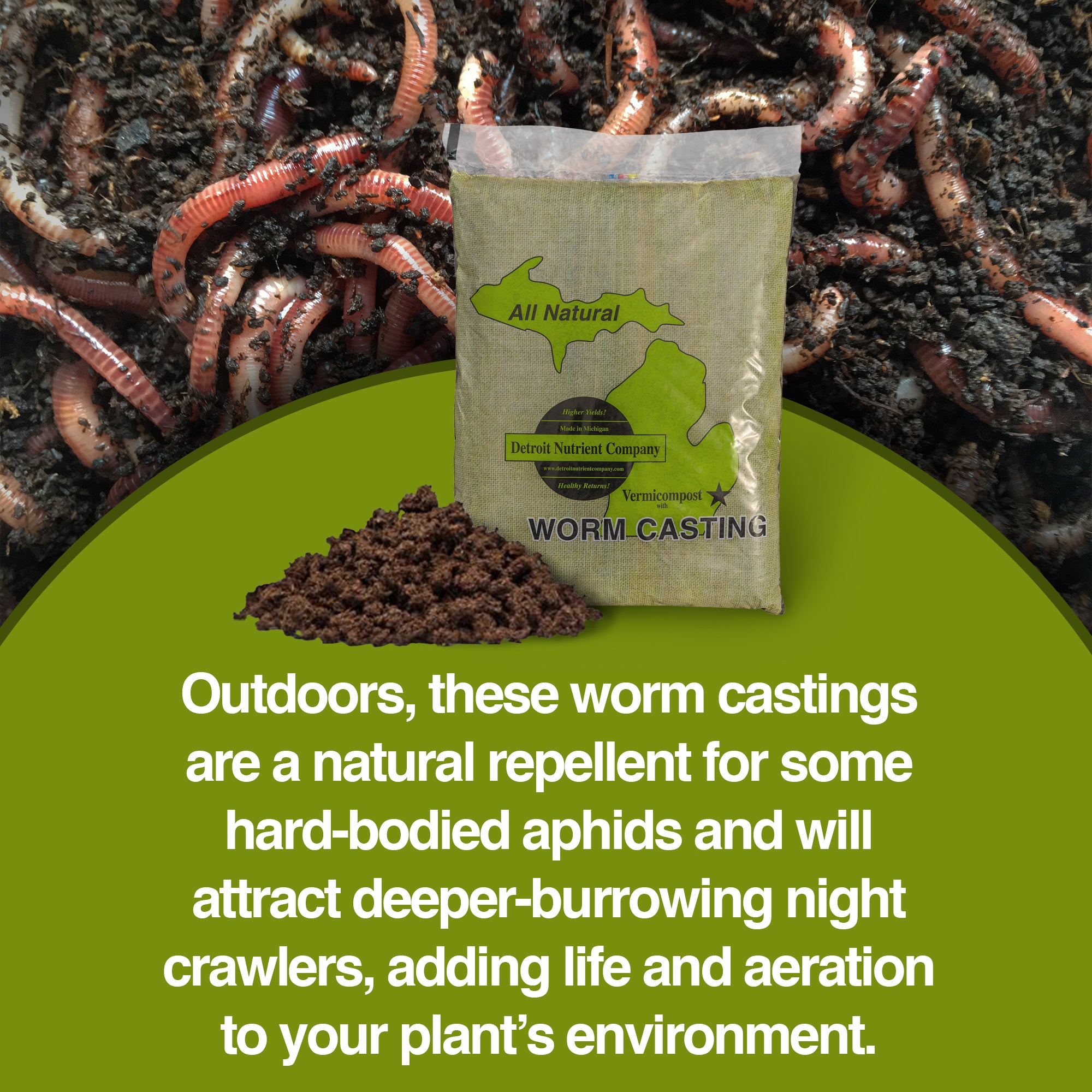 Detroit Nutrient Company All Natural Vermicompost Worm Castings, 25 Pounds