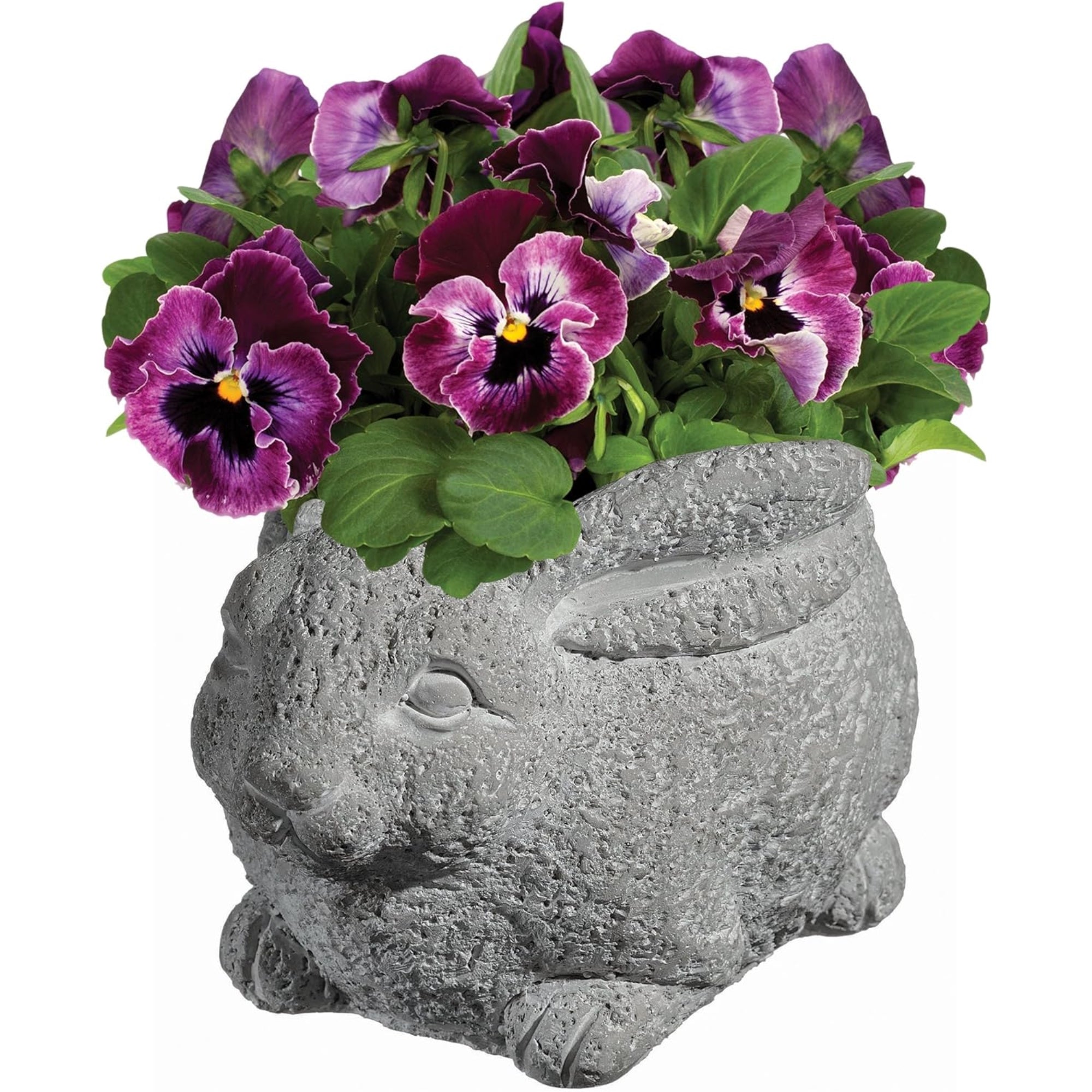 Classic Home and Garden Cement Buddies Indoor/Outdoor Planter with Drainage Hole, Rabbit