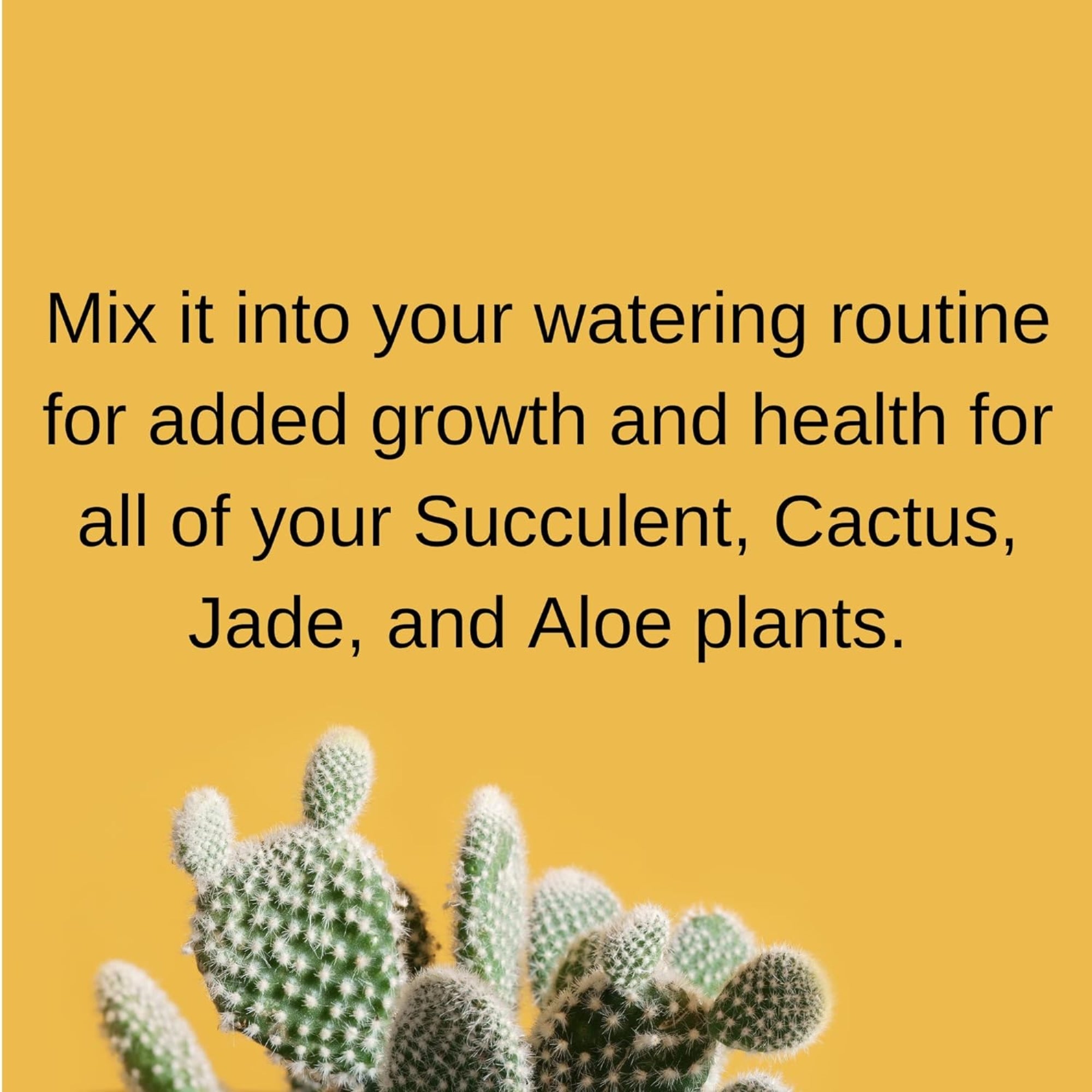 Fertilome Houseplant Hero Cactus and Succulent Plant Food, 2-7-7 House Plant Fertilizer, 8 Oz