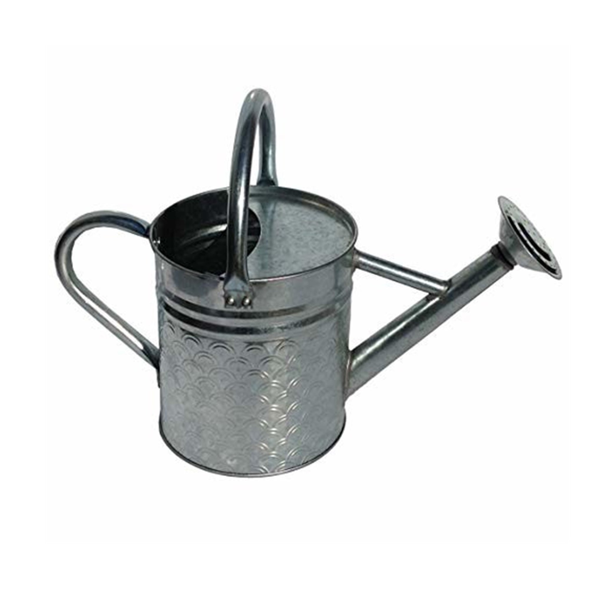 Gardener Select Galvanized Watering Can, Silver, 64 oz