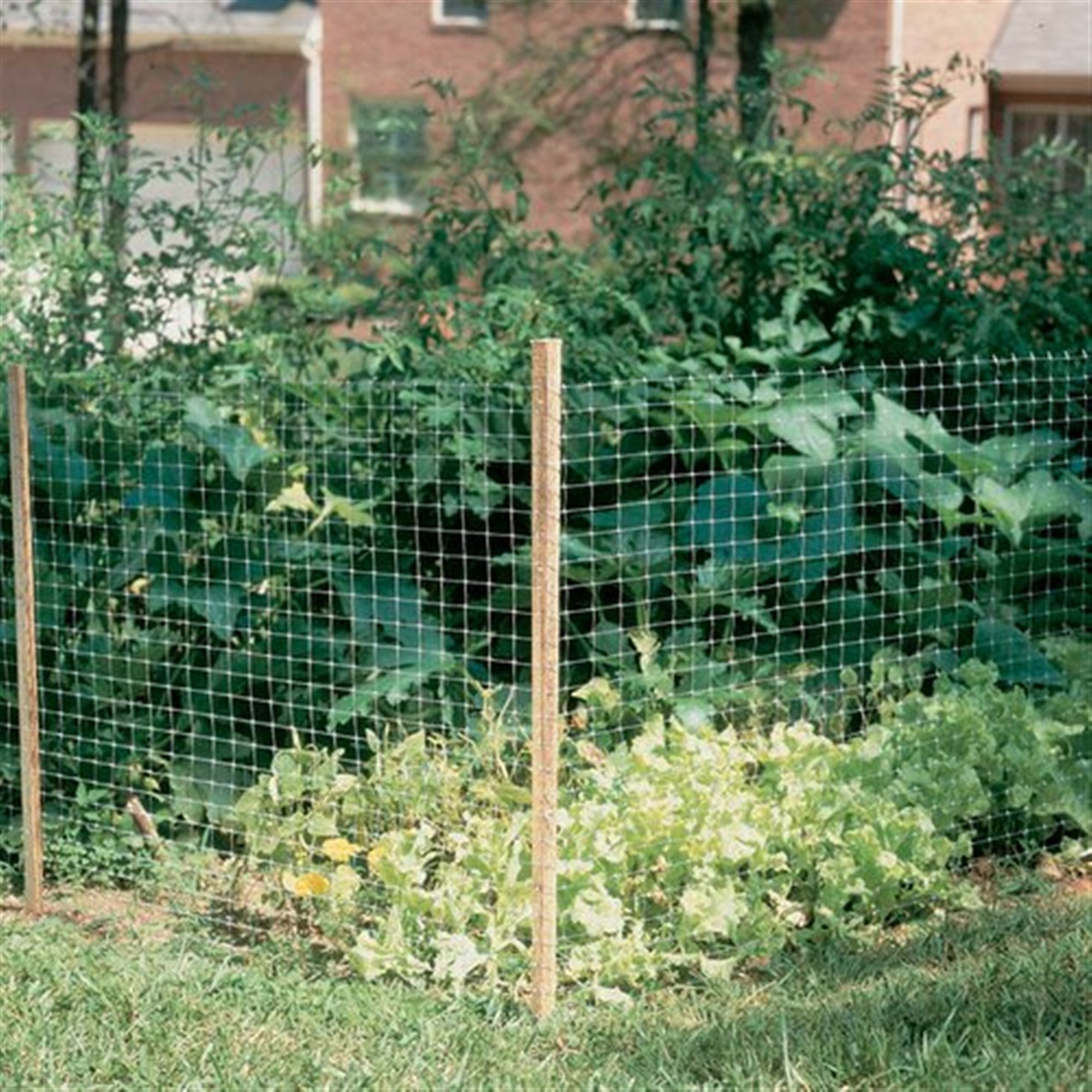 Dalen Gardeneer Plastic Fence for Garden Edging 3 Feet Wide by 50 Feet Long