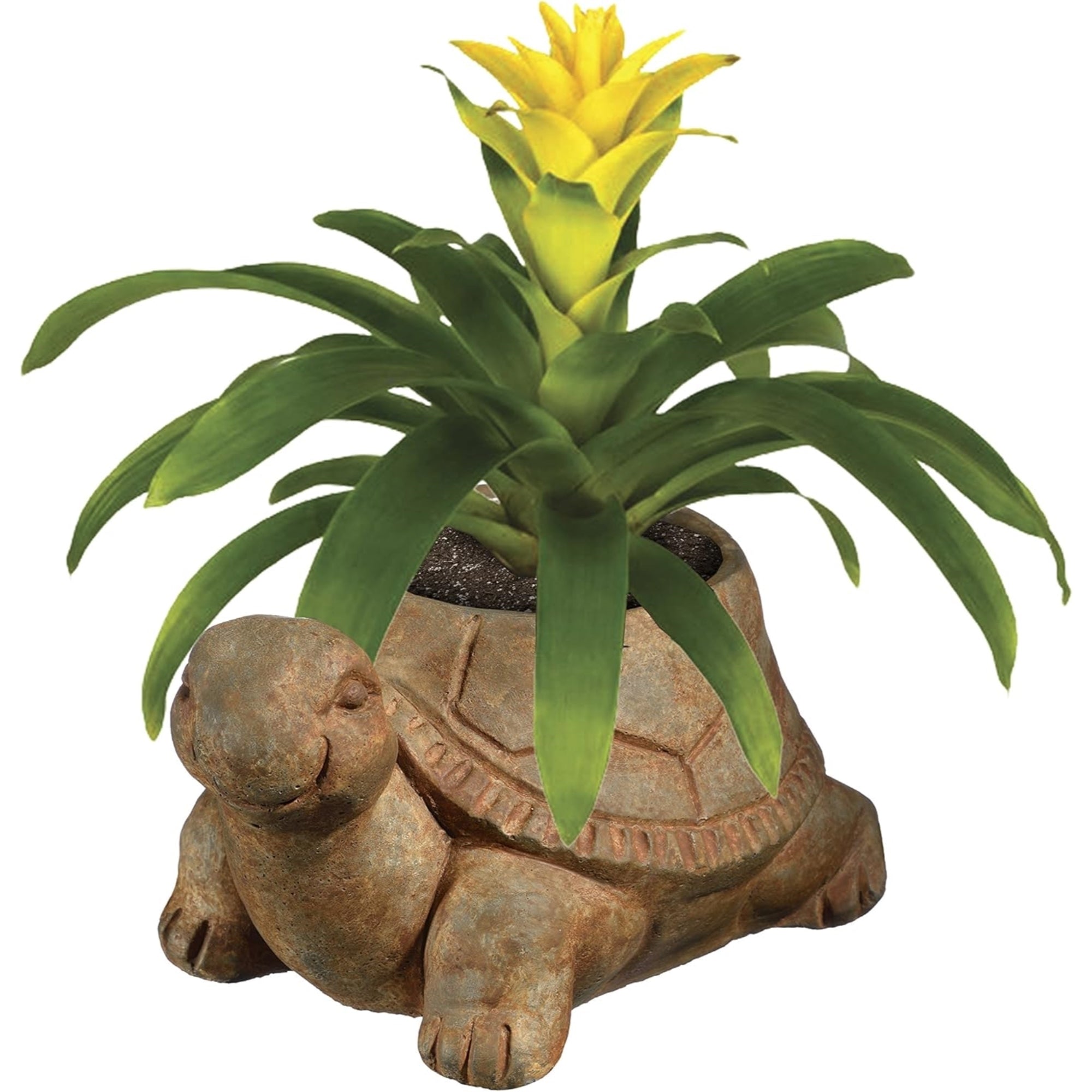 Classic Home and Garden Cement Buddies Indoor/Outdoor Planter with Drainage Hole, Turtle