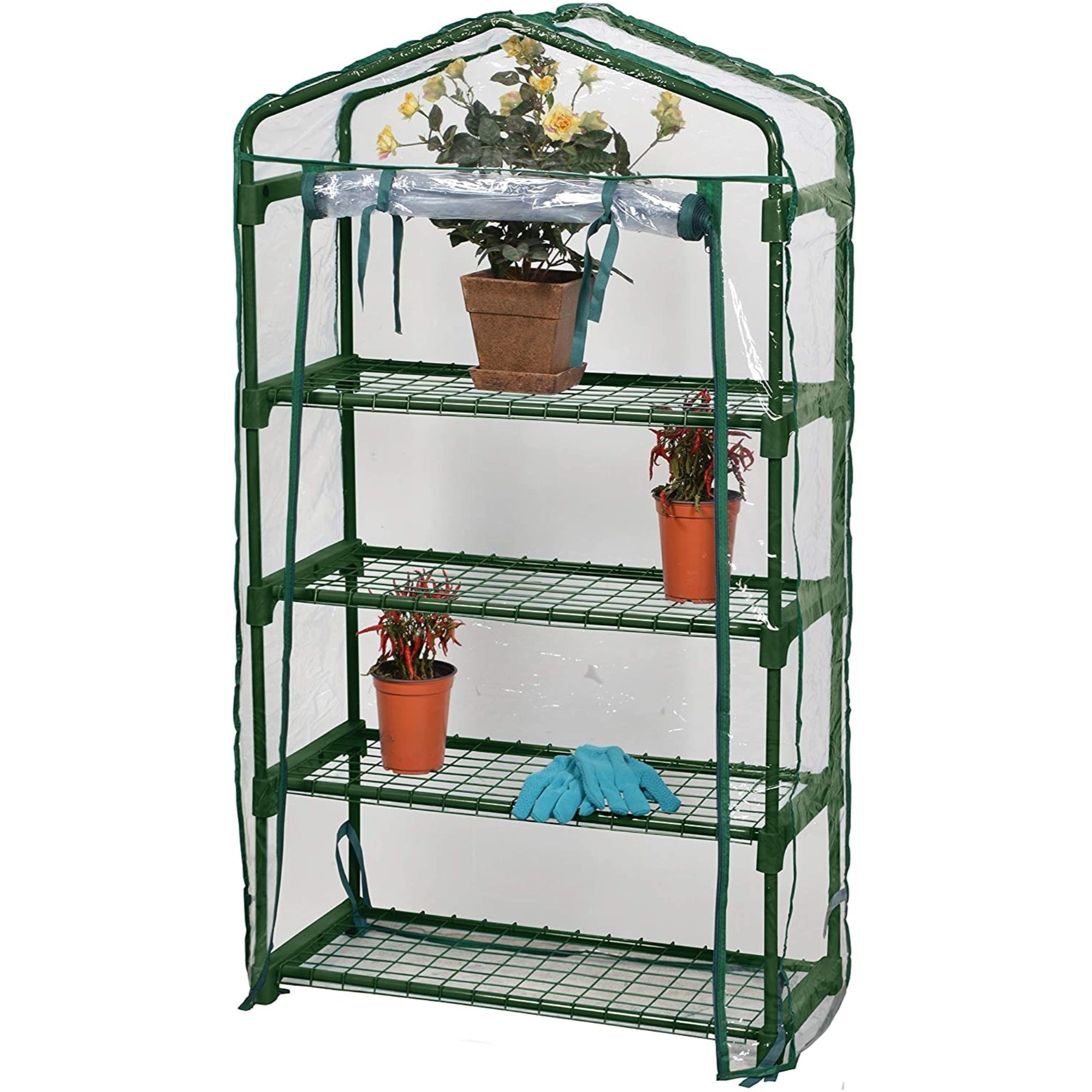 Bloom Personal Plastic Indoor/Outdoor 4-Tier Standing Greenhouse For Seed Starting and Propagation, Frost Protection, Clear, Small, 27" x 12" x 49"