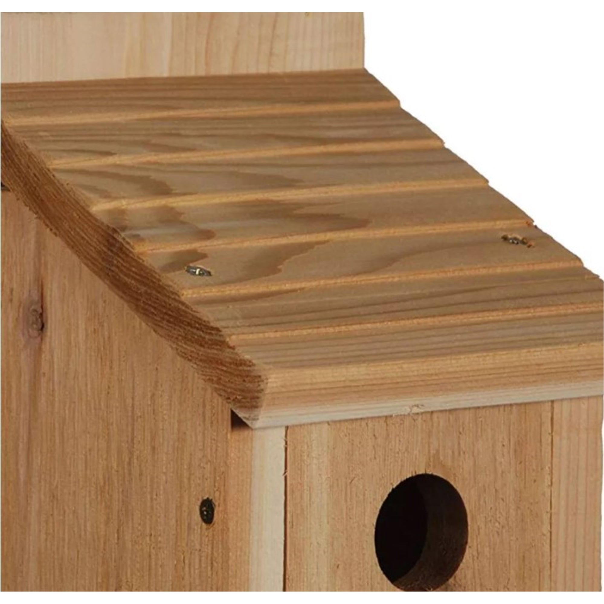 Woodlink Audubon Cedar Bluebird House