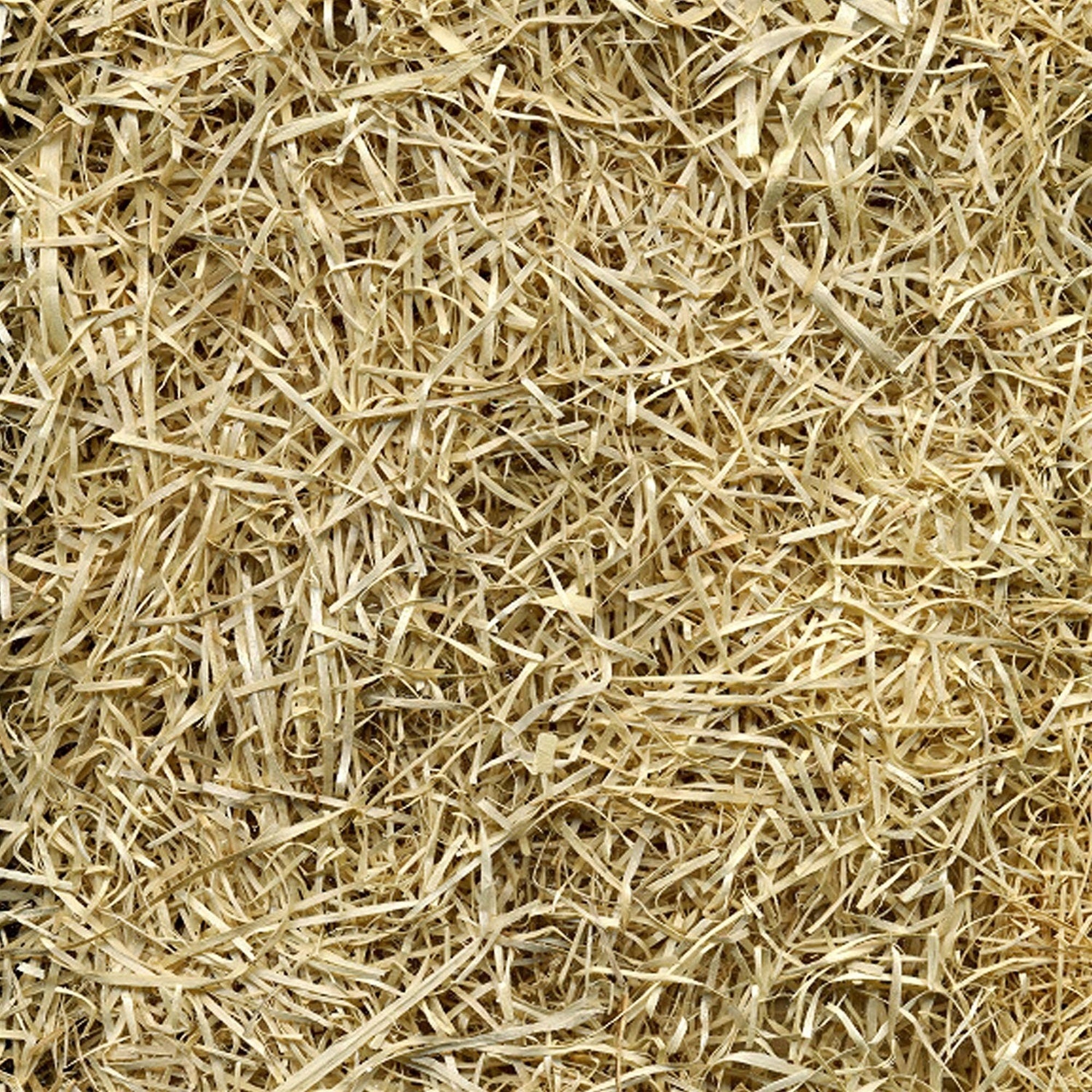 Rhino Seed & Landscaping Supply All-Purpose Straw Bale, 10 lb