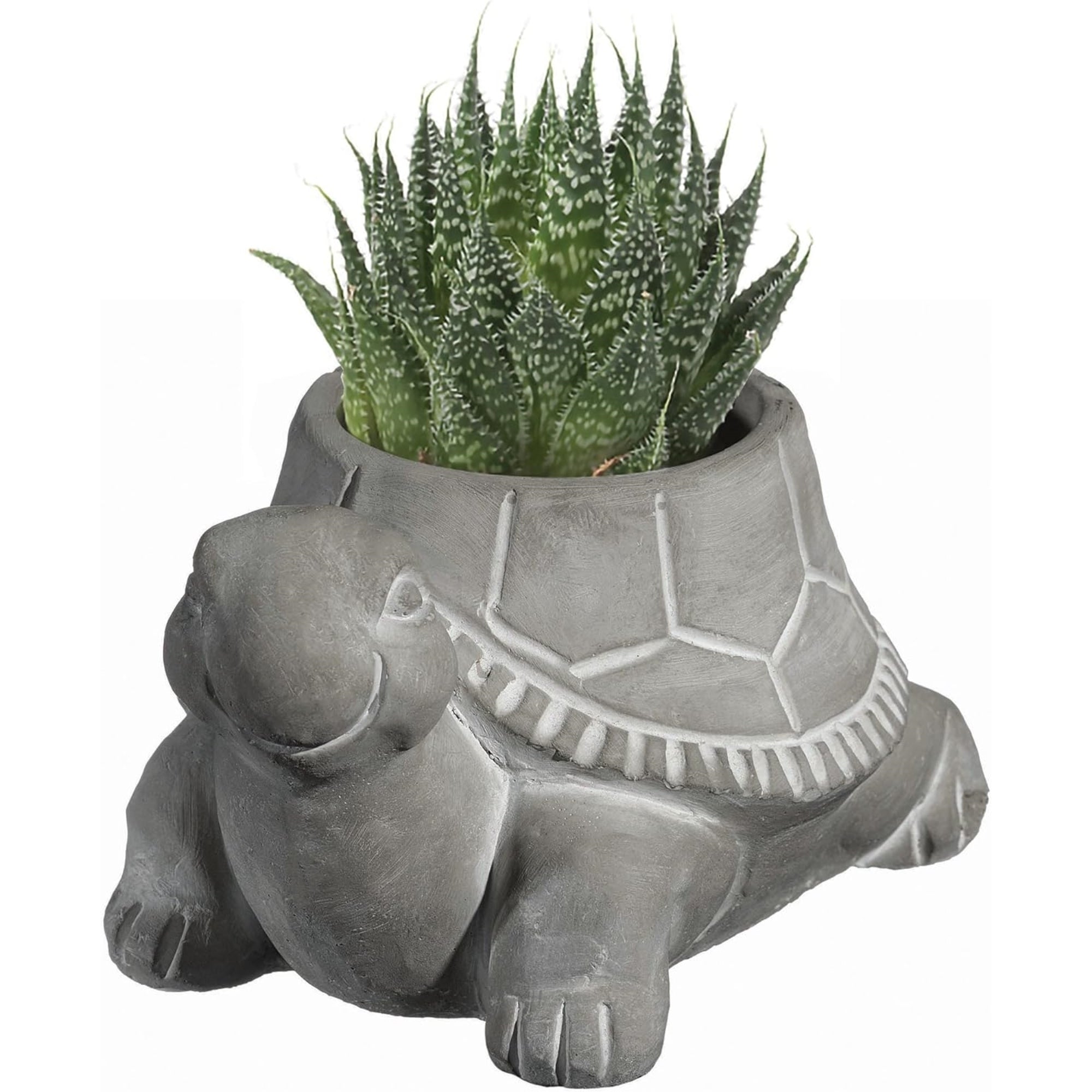 Classic Home and Garden Cement Buddies Indoor/Outdoor Planter with Drainage Hole, Turtle