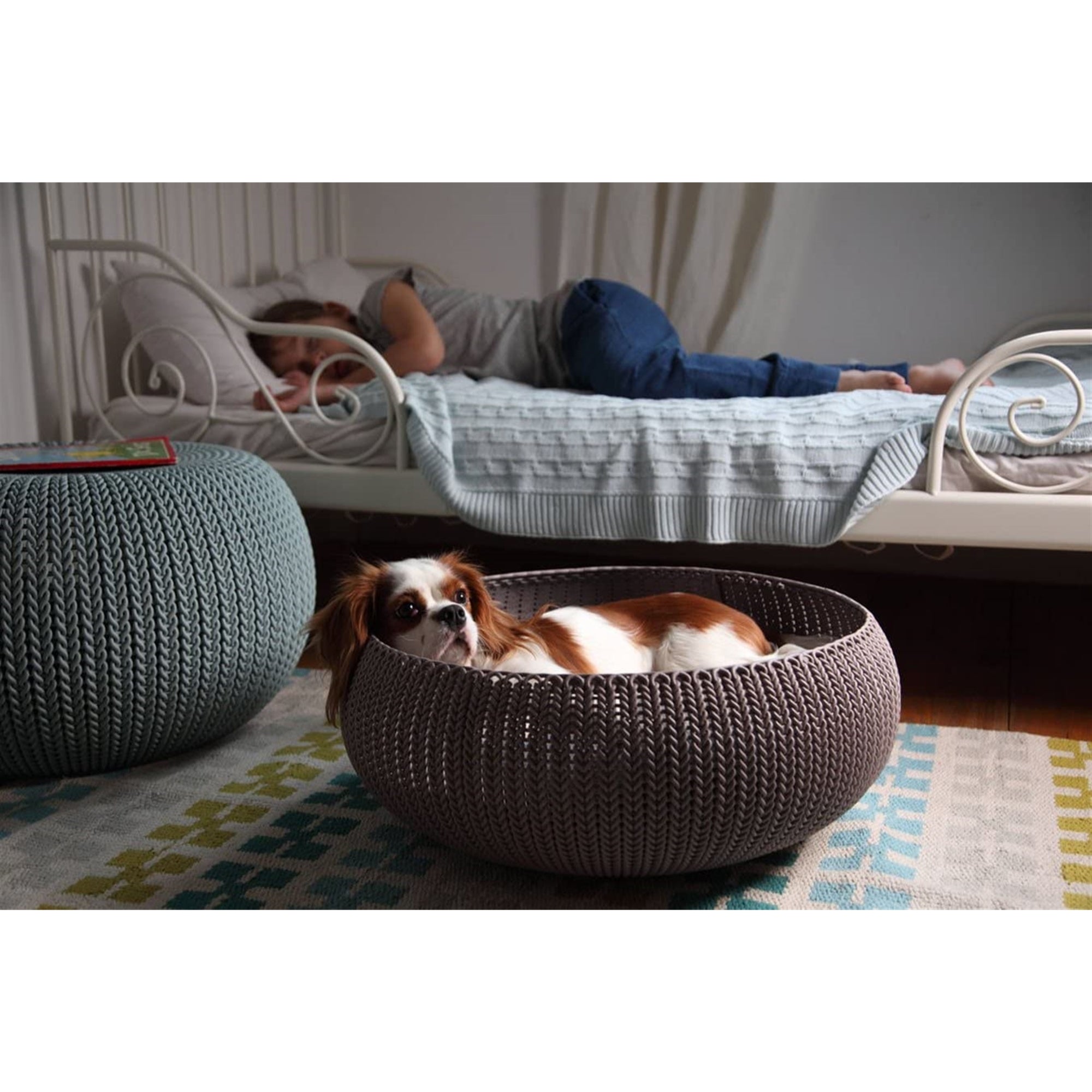 Plastic dog bed sales and cushion