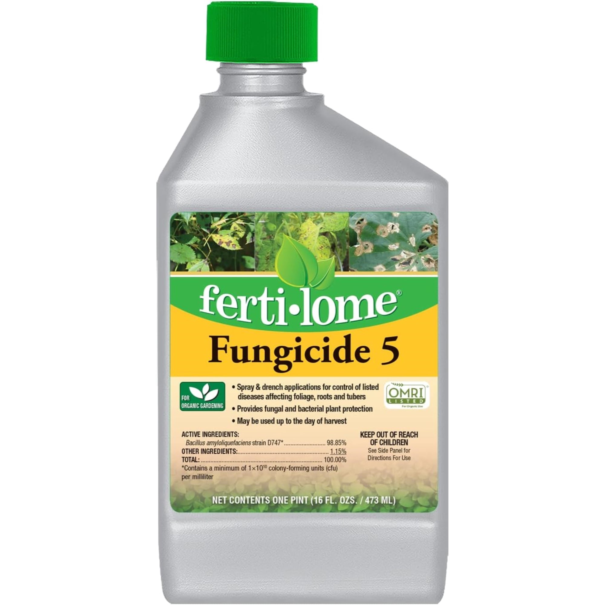 Fertilome Fungicide 5 Concentrate, Plant Disease and Bacteria Control, OMRI Listed, 16 oz