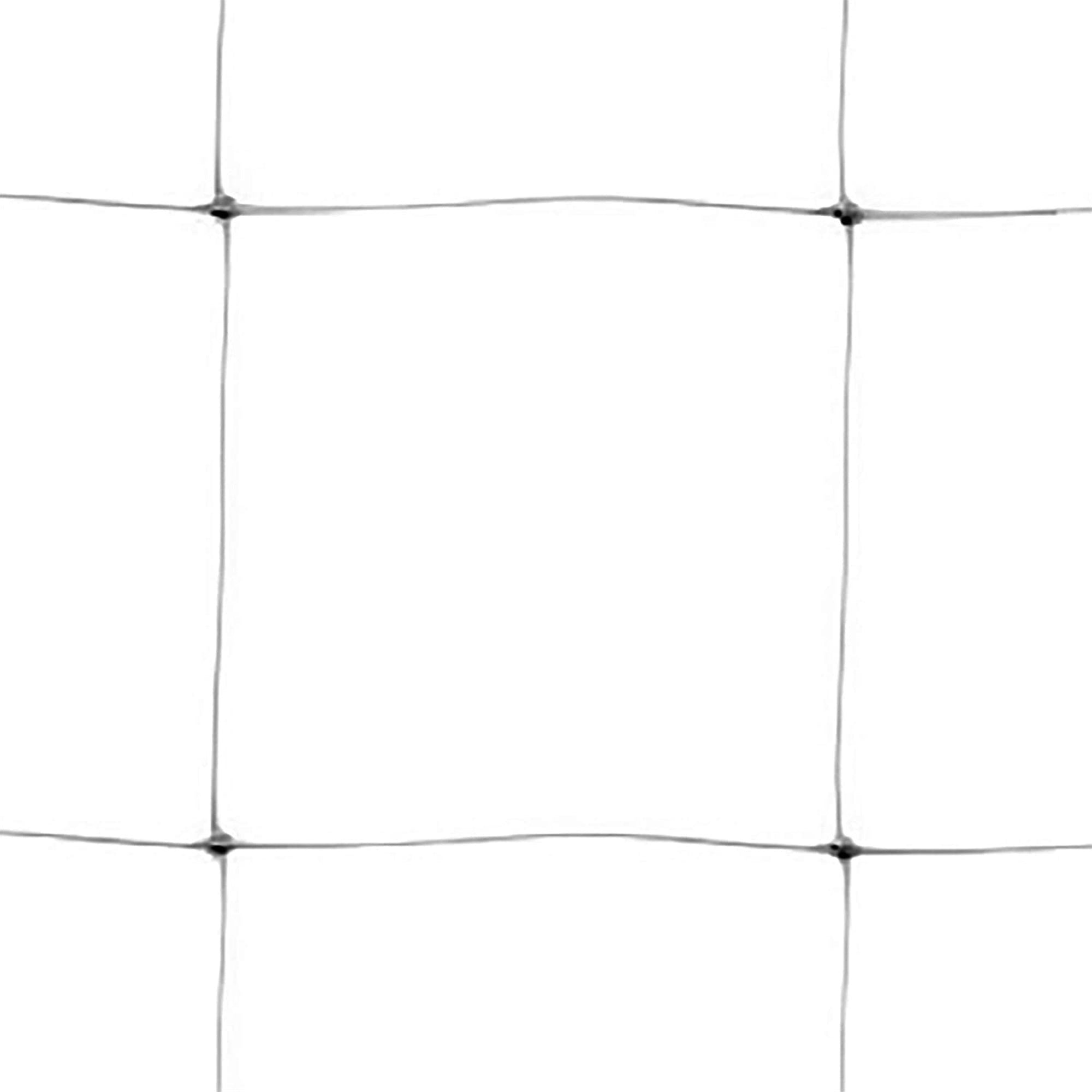 Tenax Hortonova Plastic Plant Trellis Net, White 4' x 100′