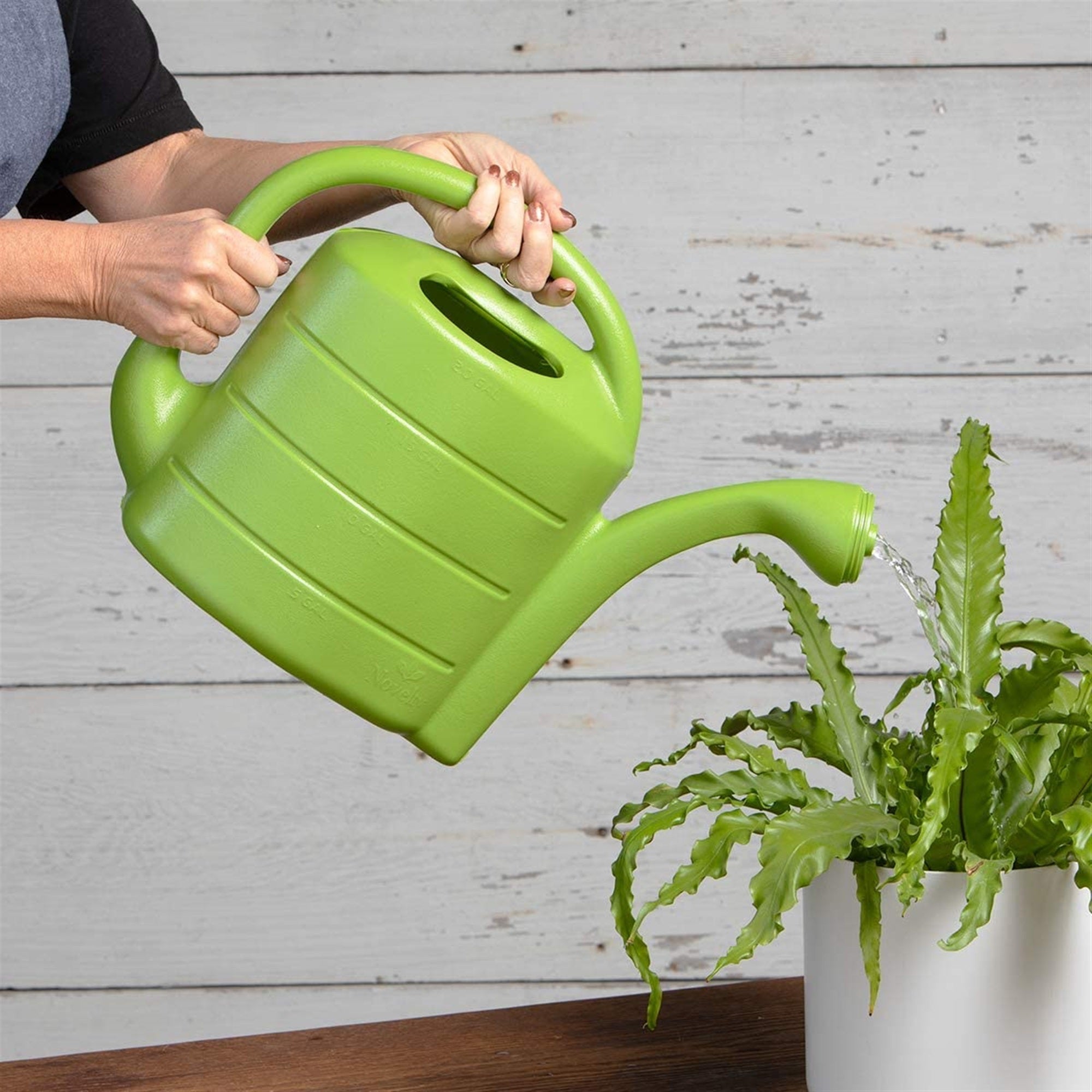 Novelty Plastic Deluxe Watering Can, Green, 2 Gallons