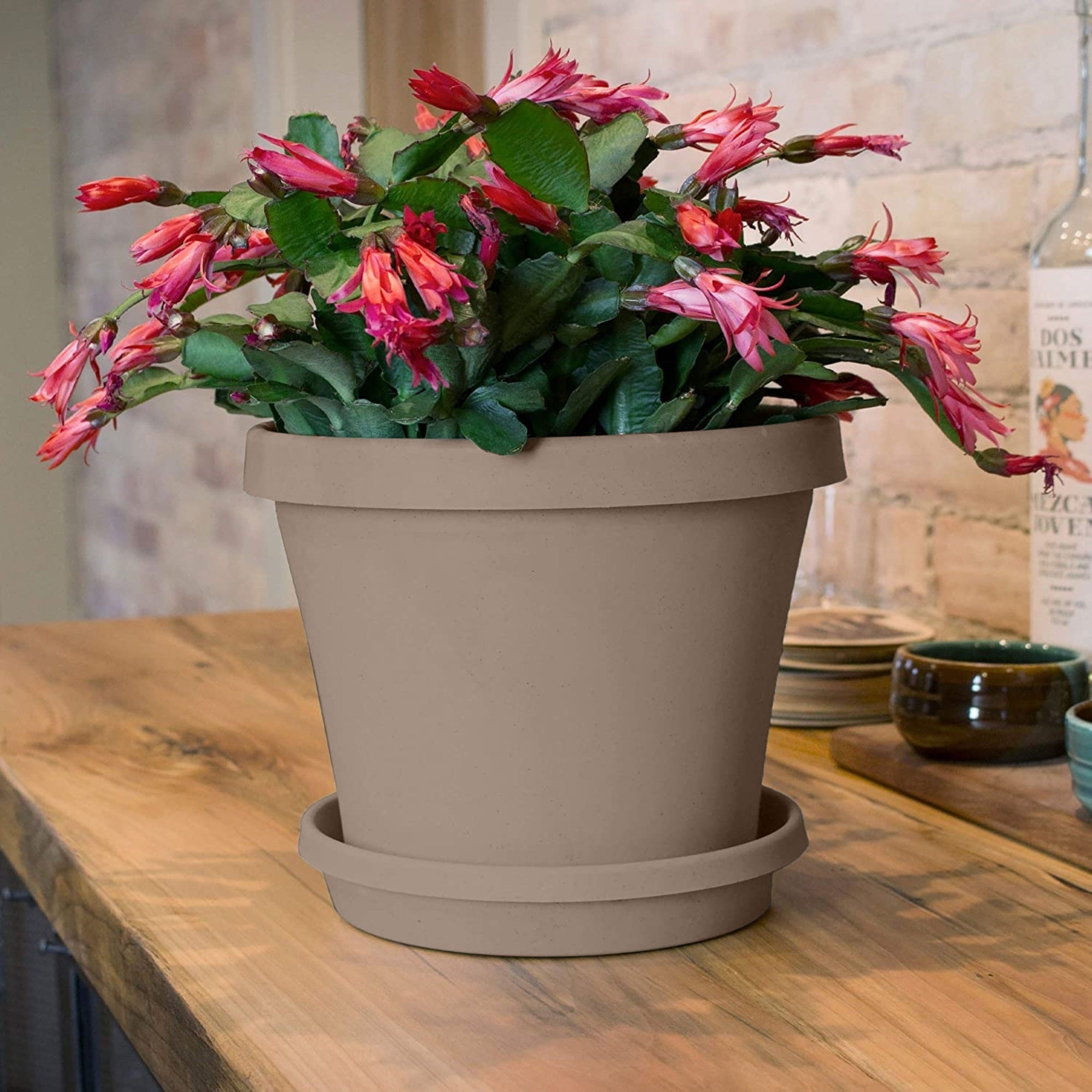 Bloem Terra Plastic In/Outdoor Flower Pot Planter, Pebble Stone Color