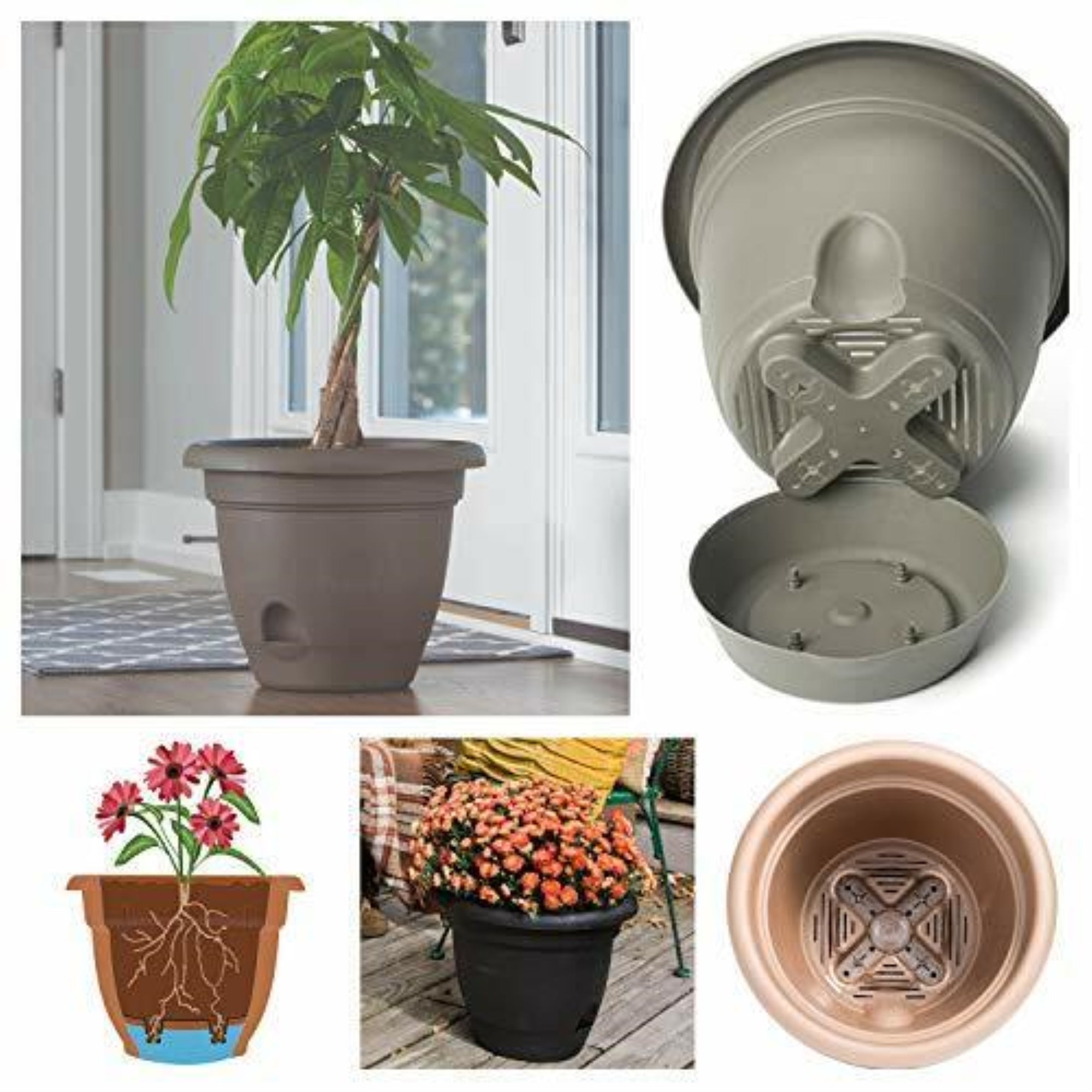 Bloem Lucca Plastic Self-Watering Planter With Easy Access Watering Spout