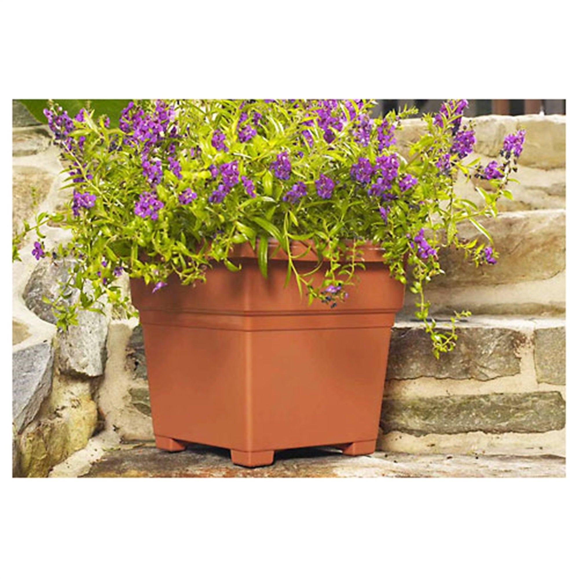 Novelty Countryside Square Tub Planter, Sage 14"