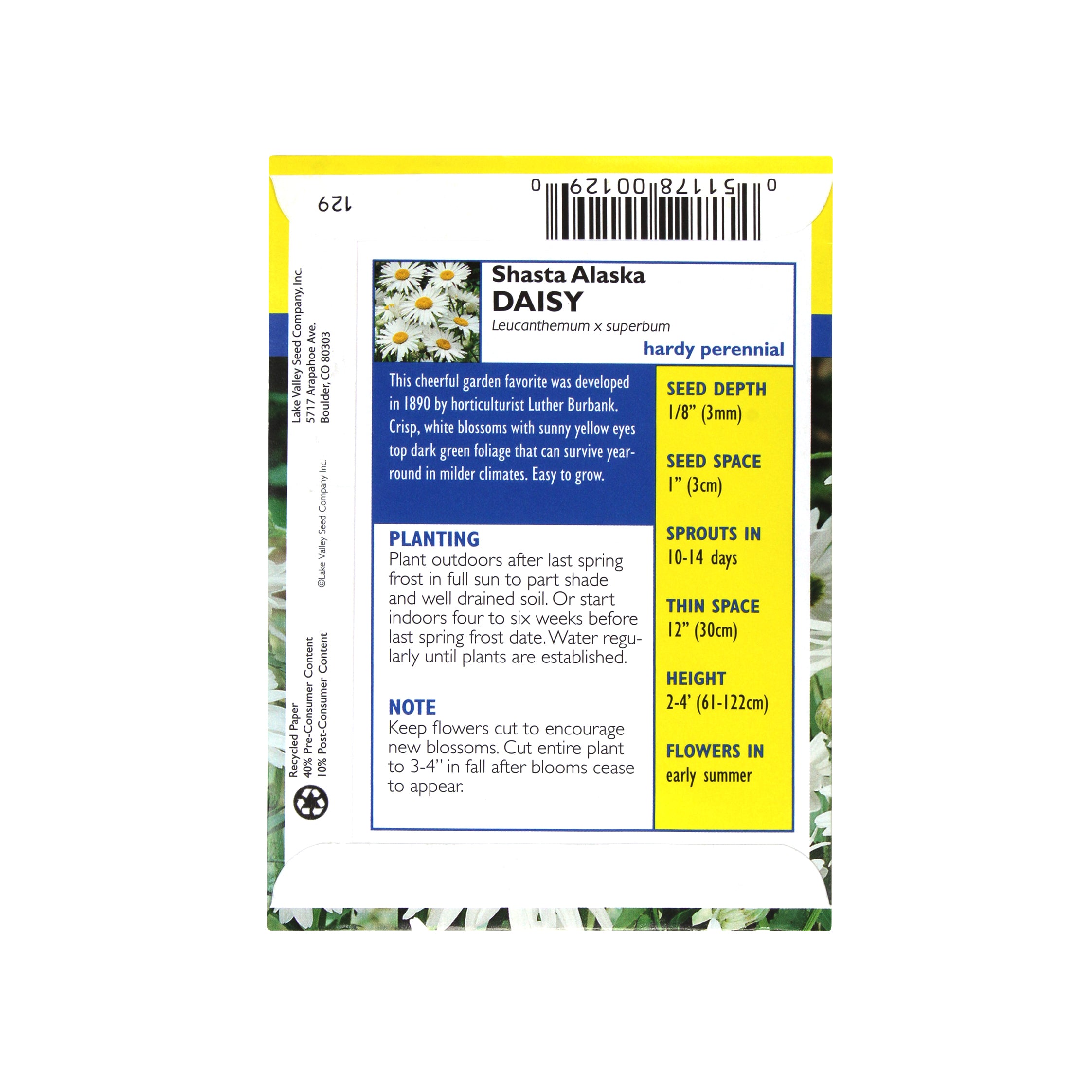 Lake Valley Seed Daisy, Shasta Alaska Heirloom, 0.4g