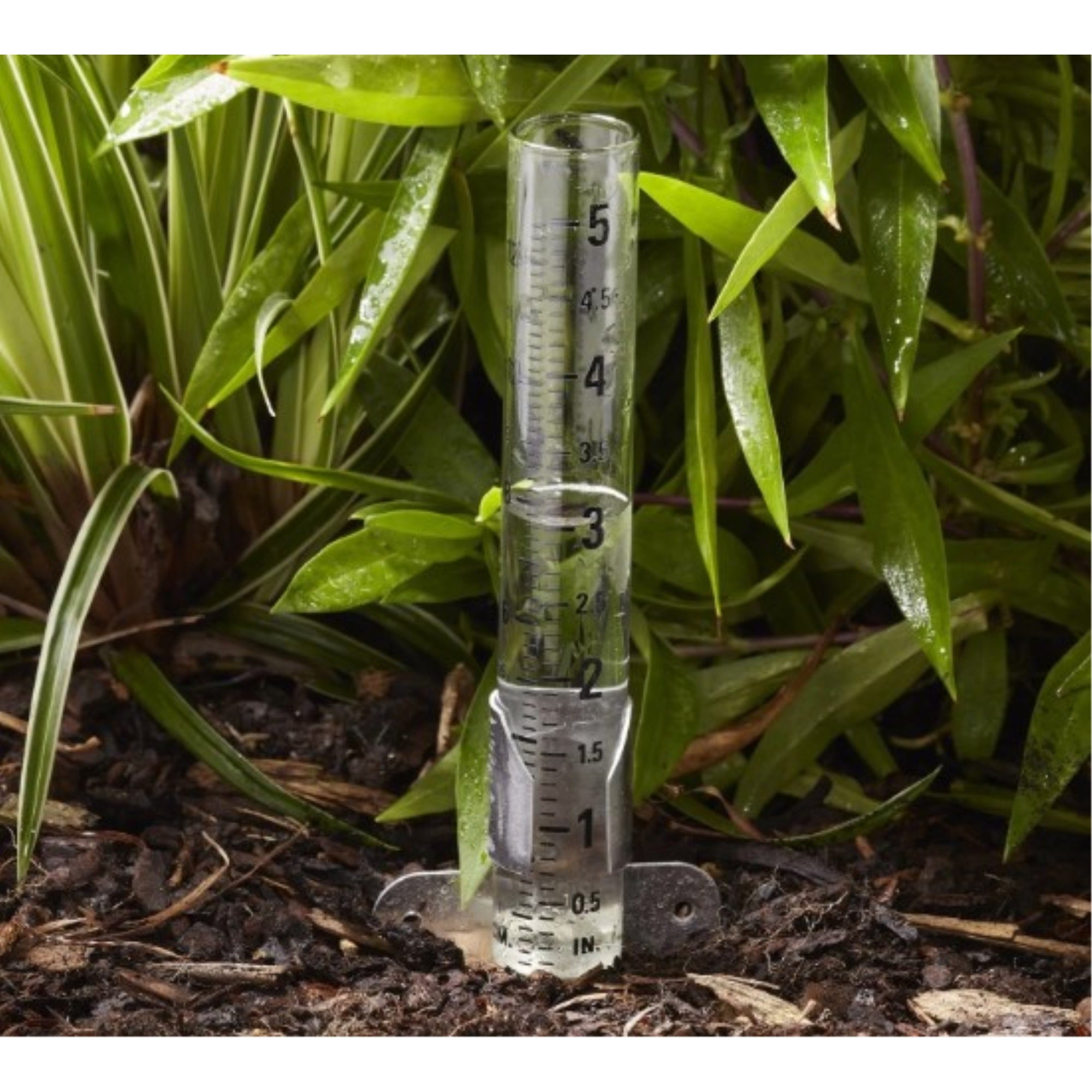 Taylor Precision Products Glass Tube Rain Gauge, 5"