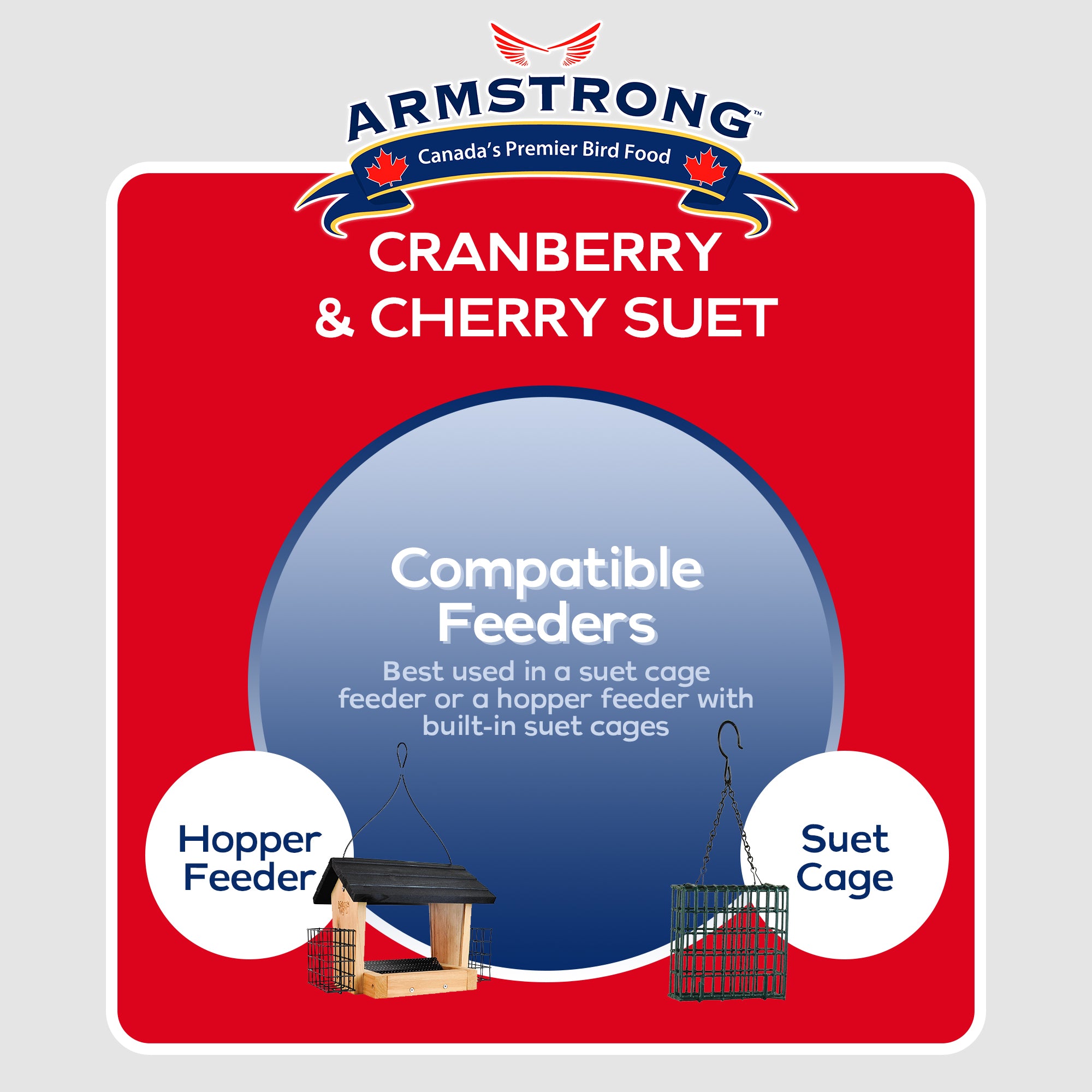 Armstrong Wild Bird Food Cranberry and Cherry Suet Cake, 11.3oz (Pack of 12)