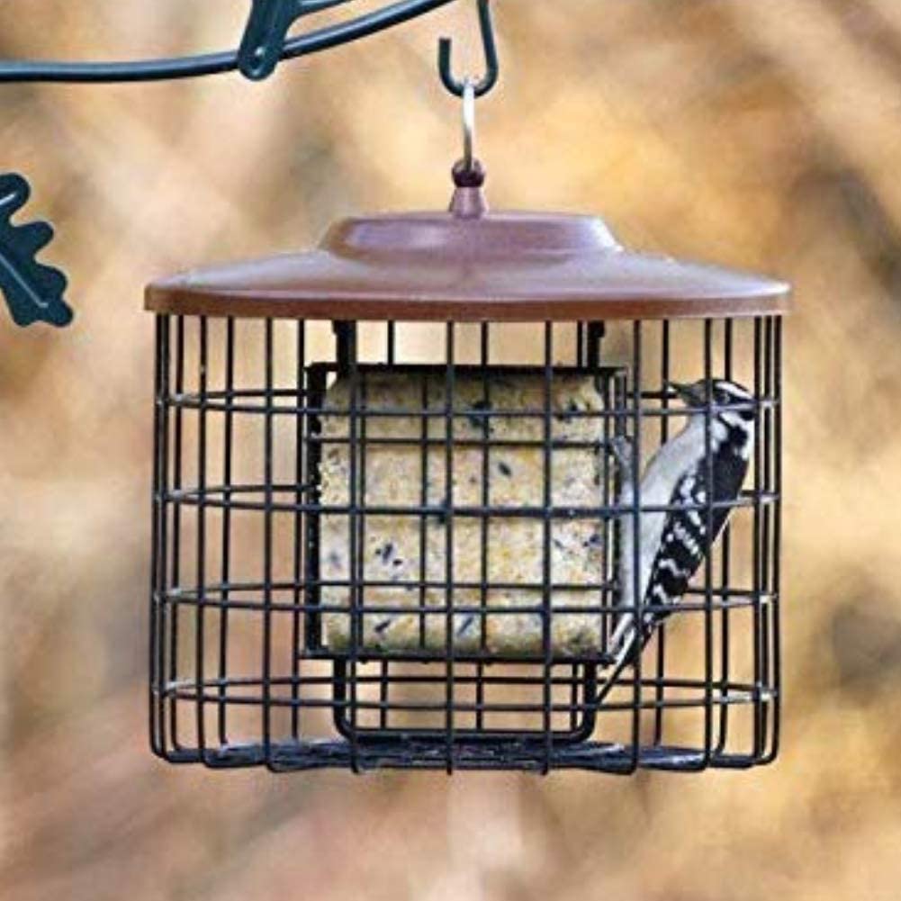 Squirrel-X Squirrel Proof Double Suet Feeder, Cage Bird Feeder, 2 Suet Cake Capacity