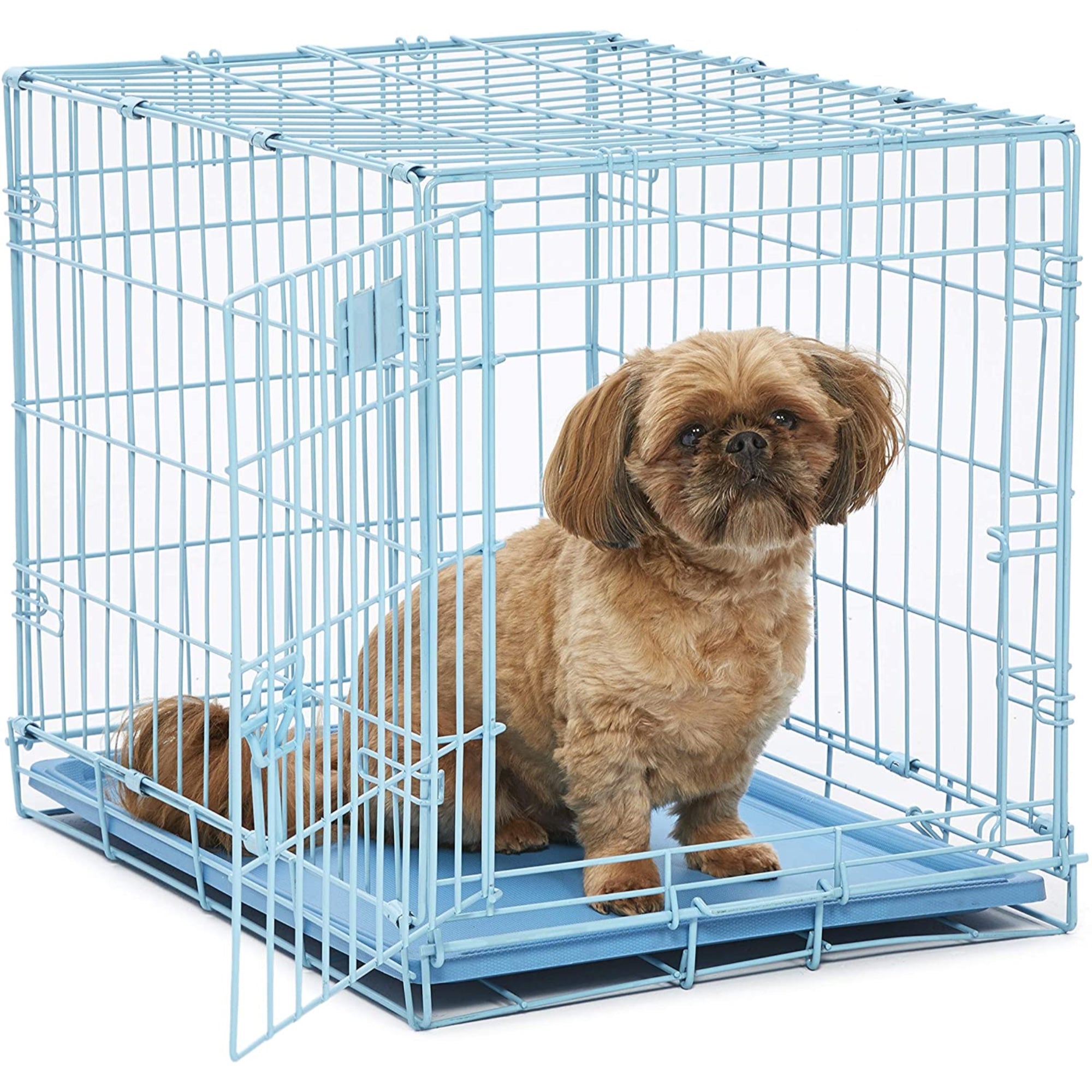 Midwest iCrate Single Door Dog Crate, Small Dog, Blue 24" H