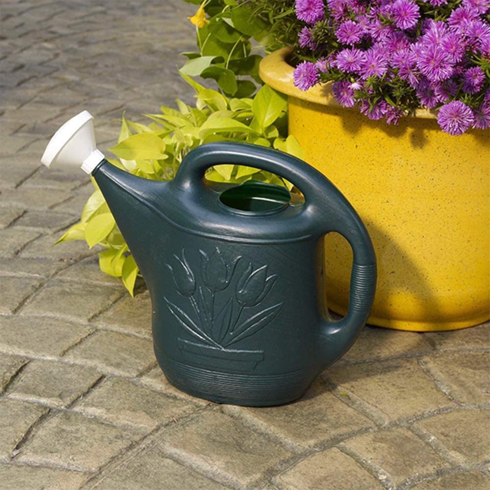 Novelty Classic Plastic Watering Can, Classic Version, Green, 2 Gallon Capacity