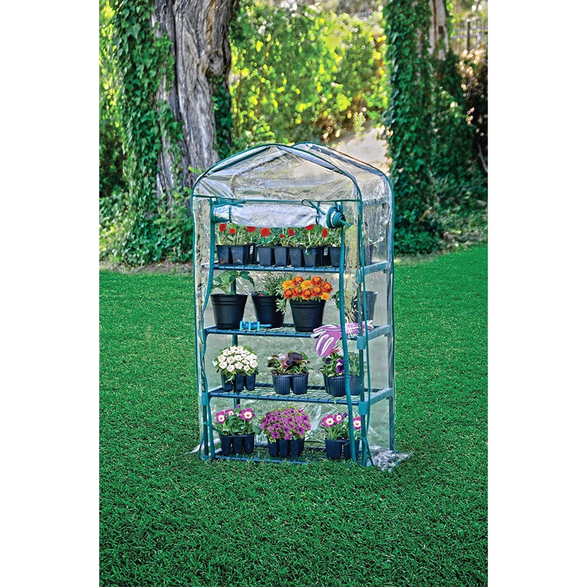 Bloom Personal Plastic Indoor/Outdoor 4-Tier Standing Greenhouse For Seed Starting and Propagation, Frost Protection, Clear, Small, 27" x 12" x 49"