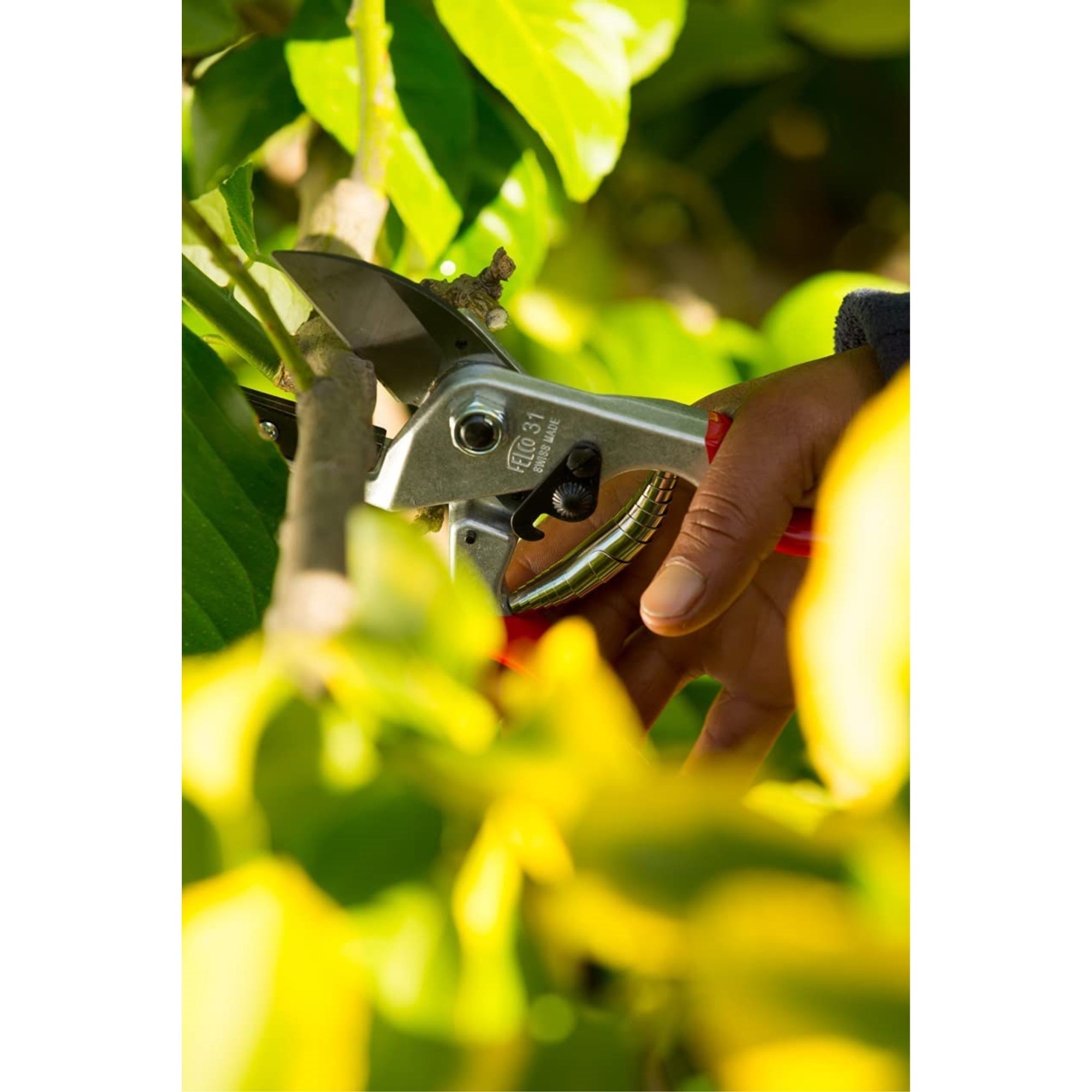Felco F13 One or Two-Hand Garden Pruner with Steel Blade