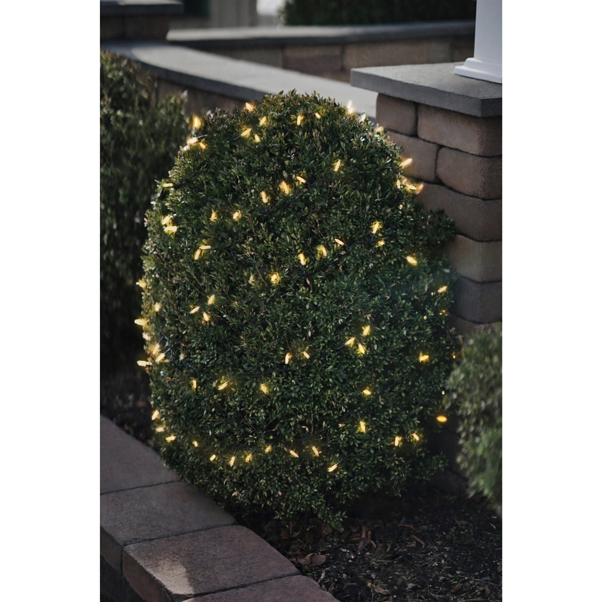 ProductWorks 8-Function 150 White Faceted Mini LED, Green Wire, 36'