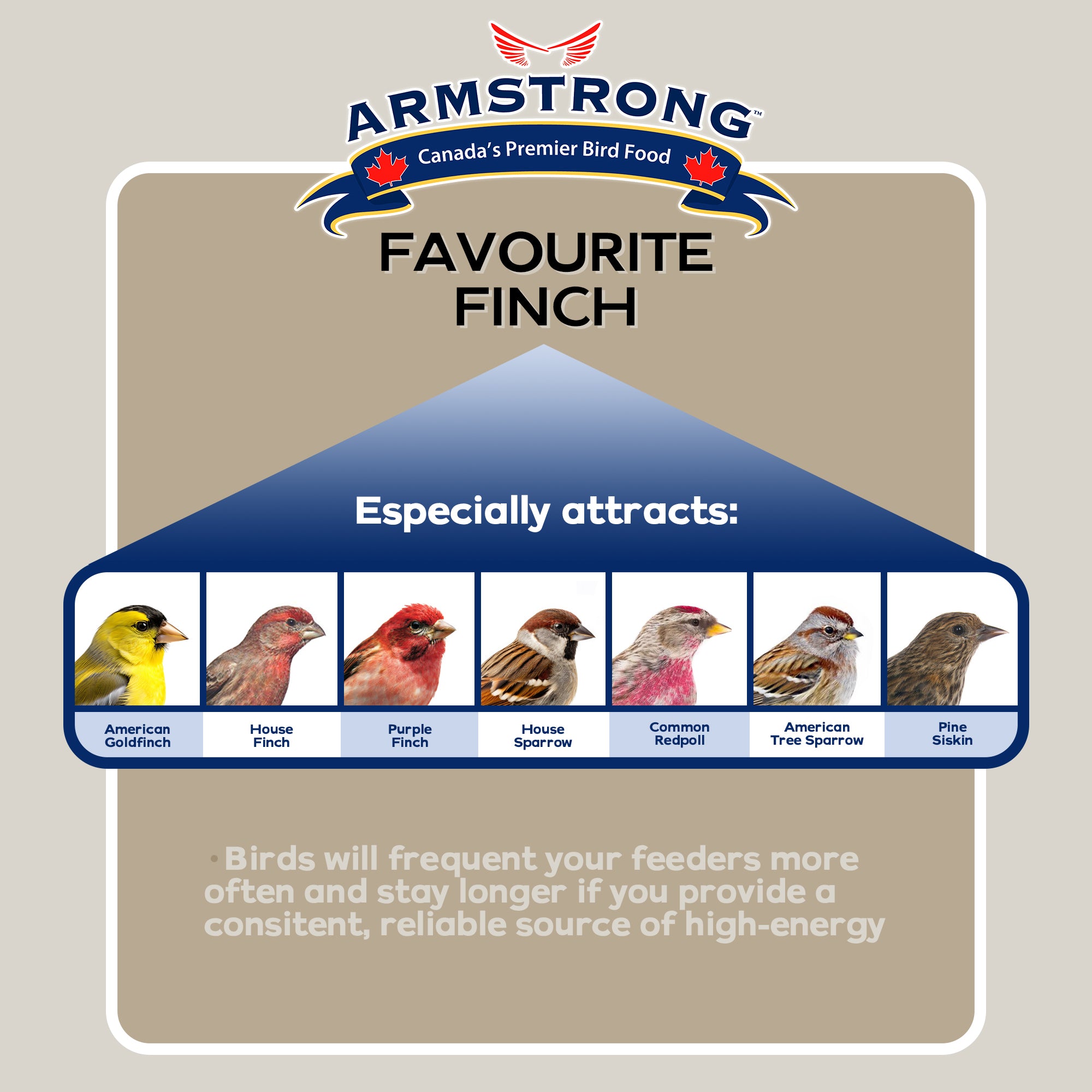 Armstrong Wild Bird Food Favourite Finch Bird Seed Blend For Finches