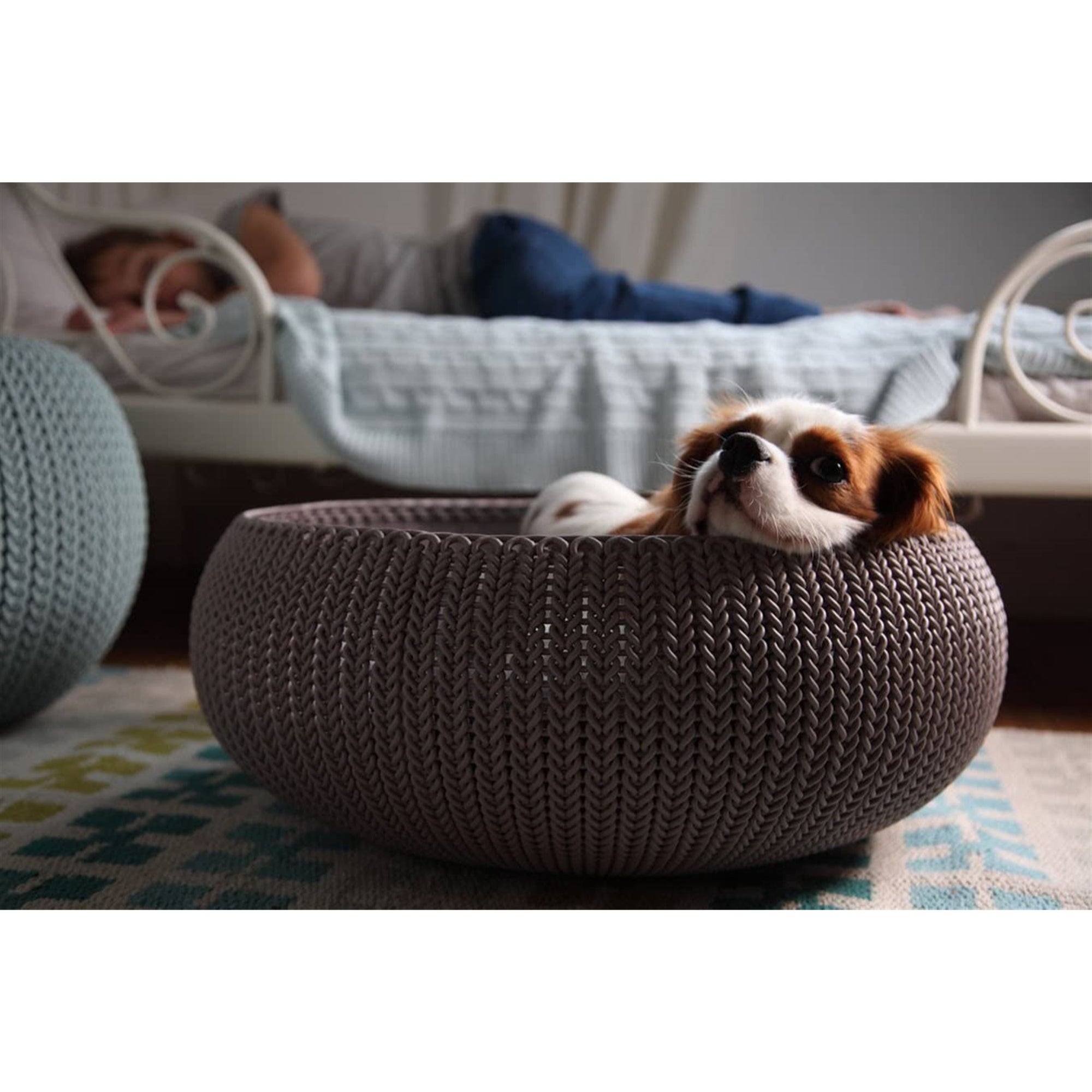 Keter by Curver Knit Cozy Resin Plastic Pet Bed, Cat Bed & Dog Bed with Cushion, Small Dogs to Medium Cats, Sandy Beige