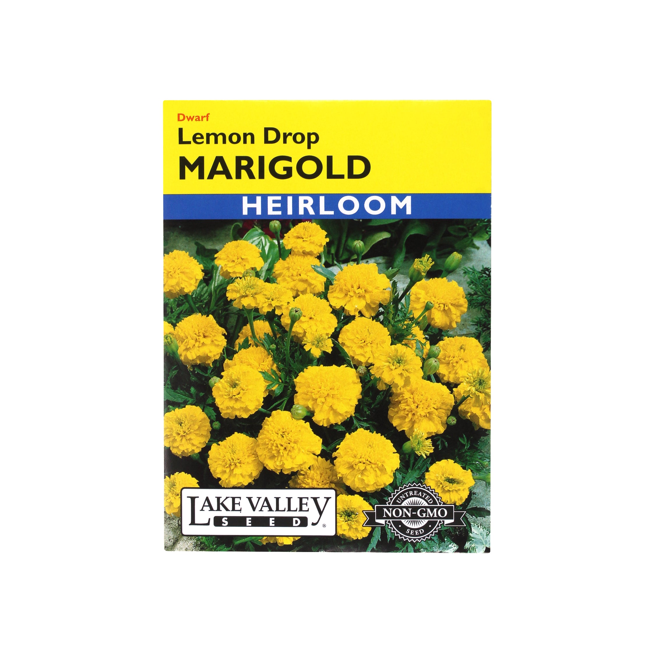 Lake Valley Seed Marigold, Dwarf Lemon Drop Heirloom, 0.4g
