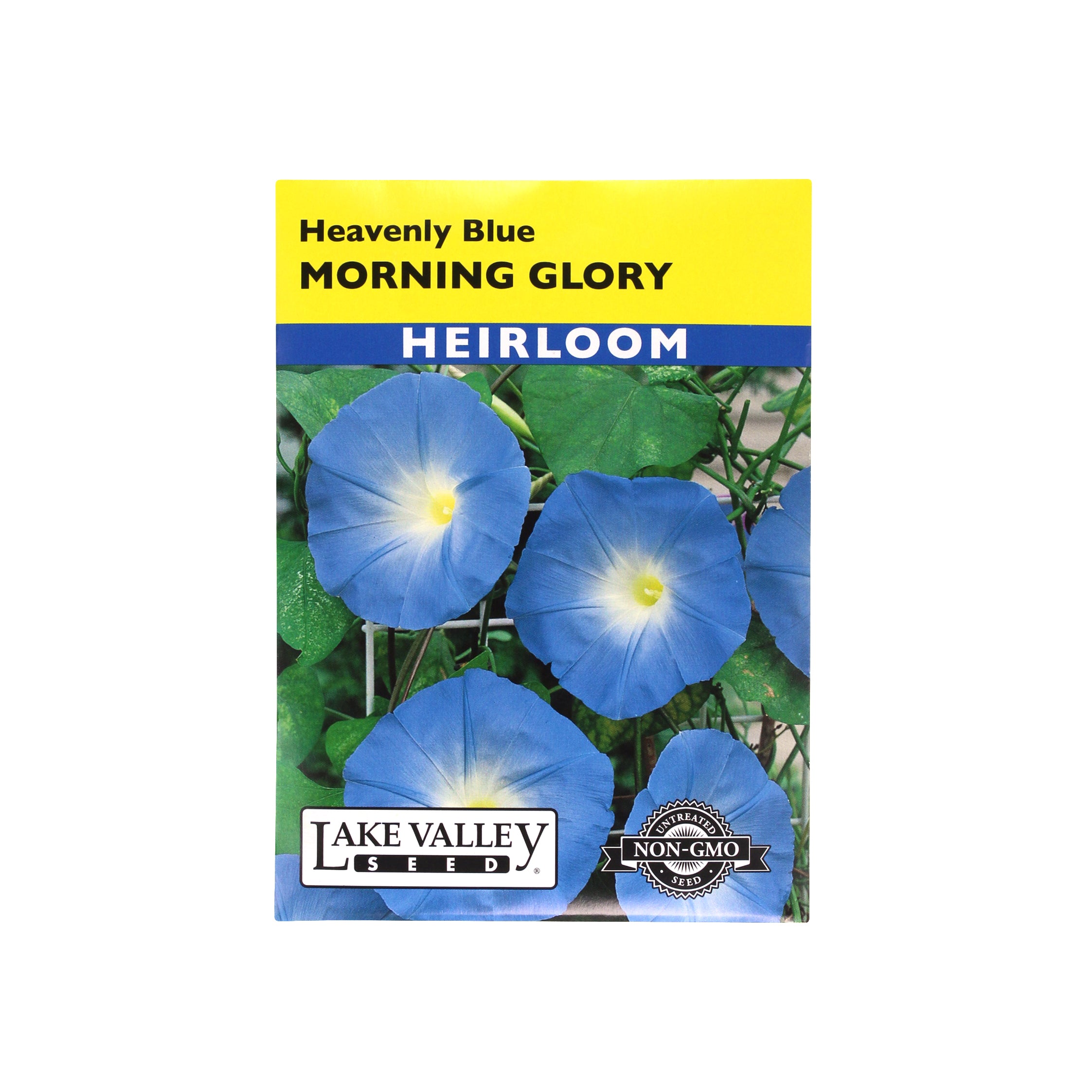 Lake Valley Seed Morning Glory, Heavenly Blue Heirloom, 1.5g