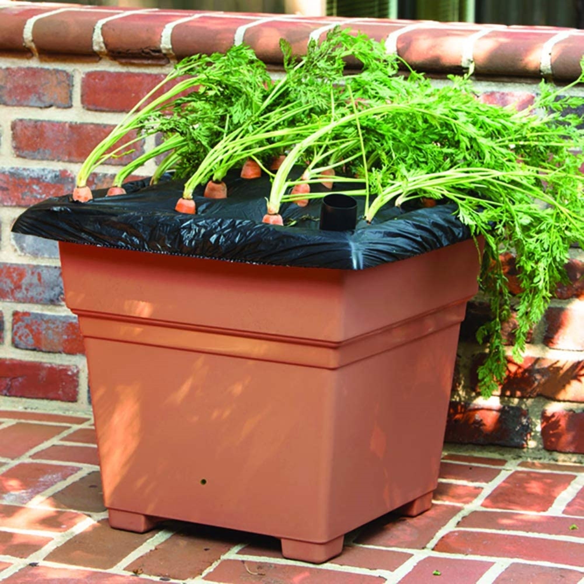 Novelty EarthBox Beginner-Friendly Root and Vegetable Garden Kit