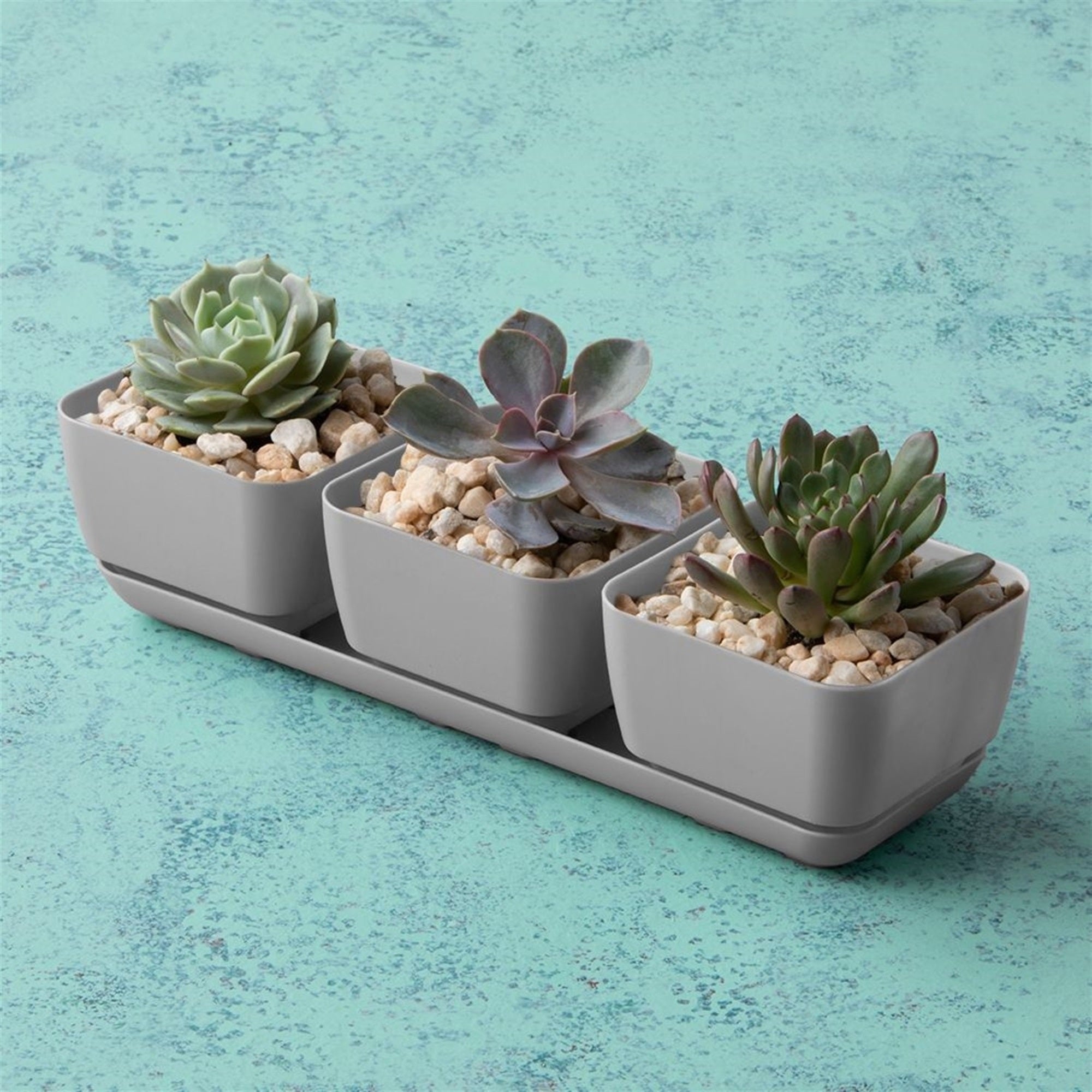 Novelty Herb & Succulent Trio Planter Plastic Flower Pots, 12"