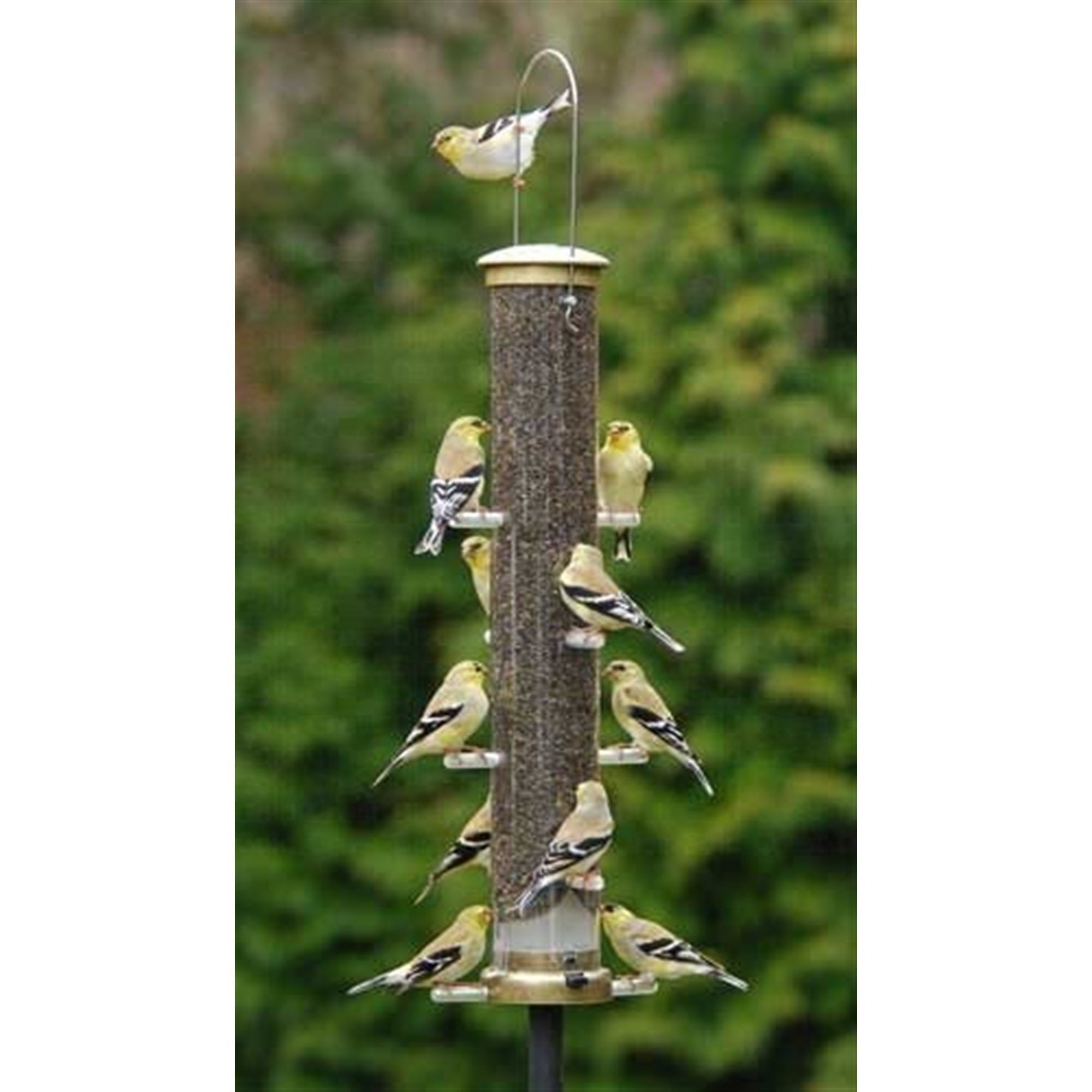 Aspects Quick-Clean Thistle Tube Feeder, Large, Antique Brass, 20-Inch