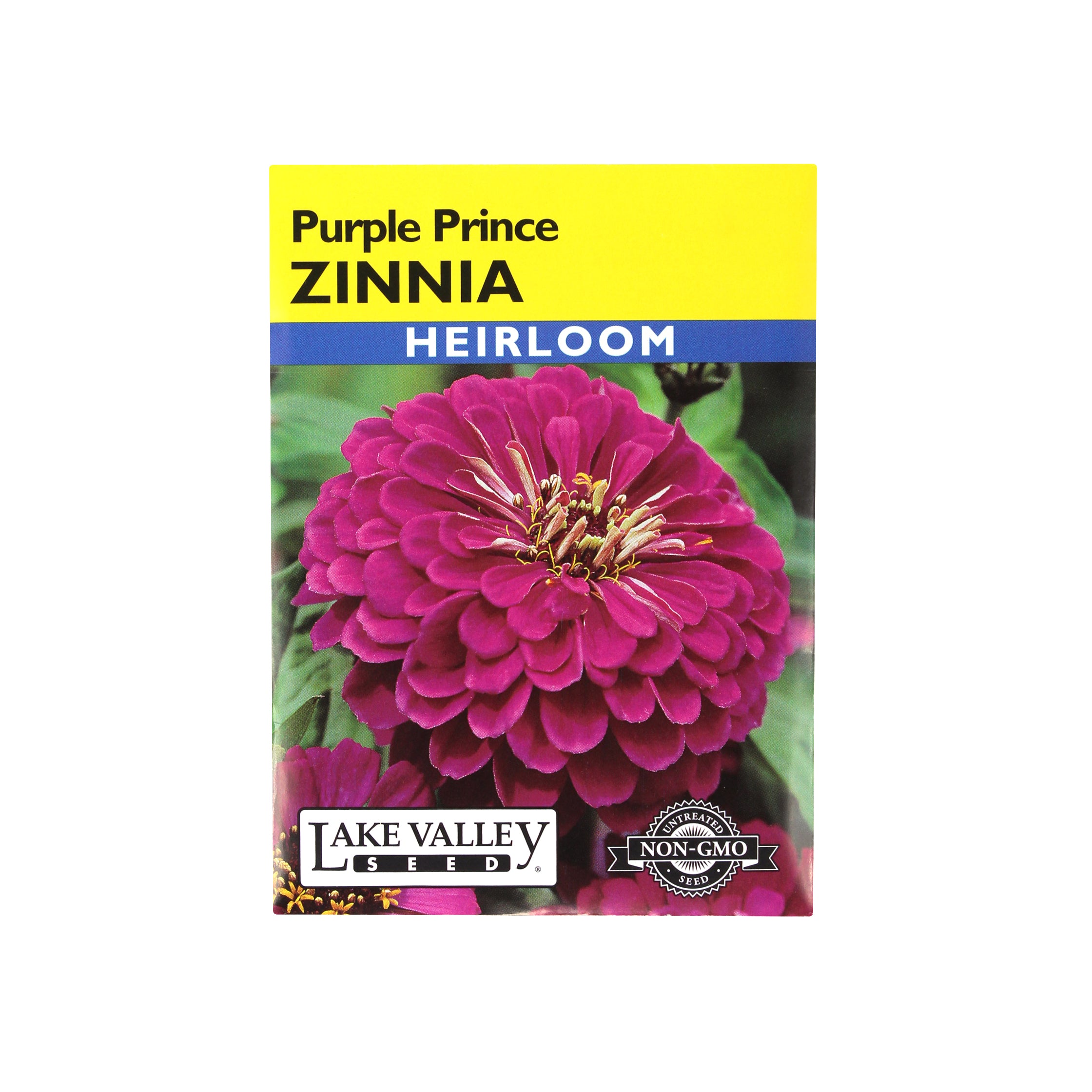 Lake Valley Seed Zinnia, Purple Prince Heirloom, 0.75g