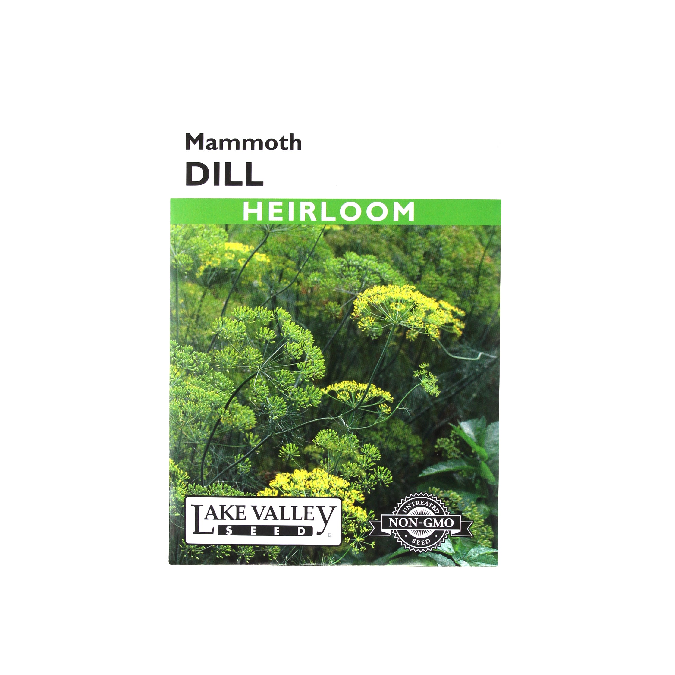Lake Valley Seed Dill, Mammoth Heirloom, 1g