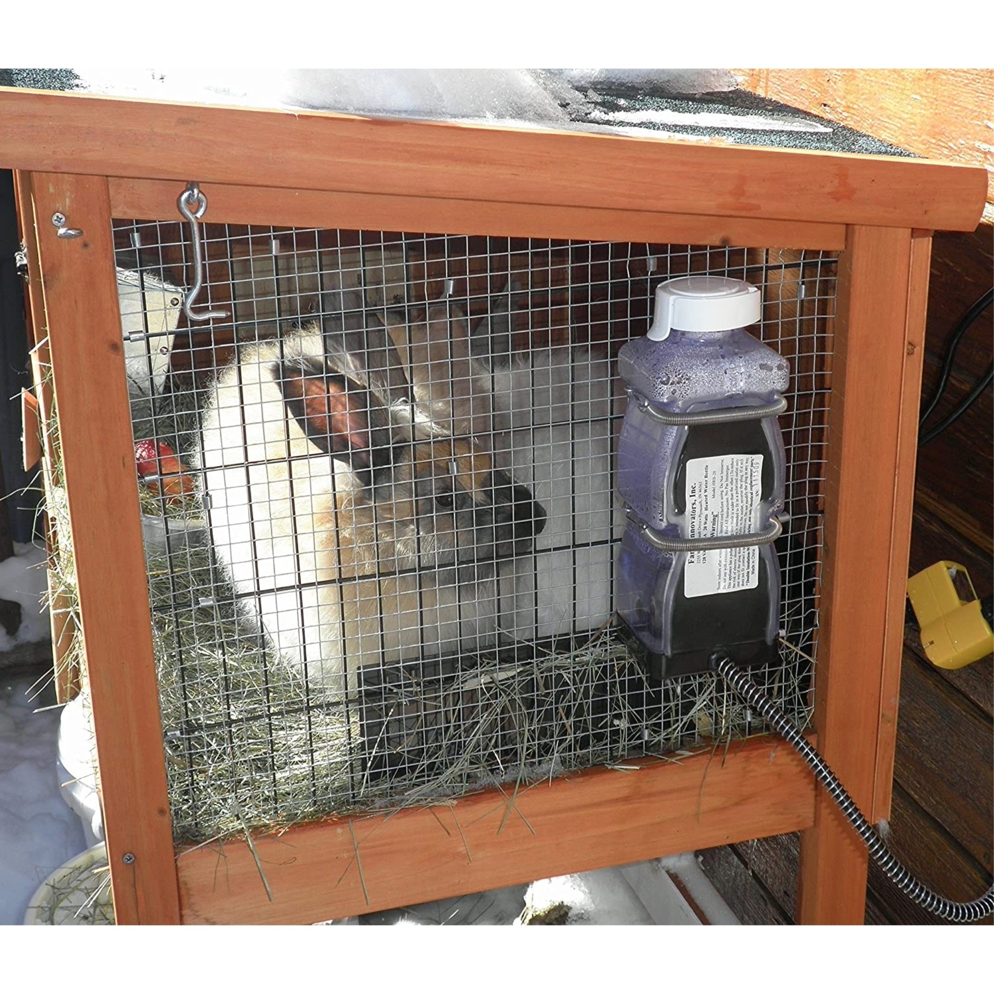 Farm Innovators Model Heated Water Bottle for Rabbits, 32-Ounce, 20-Watt